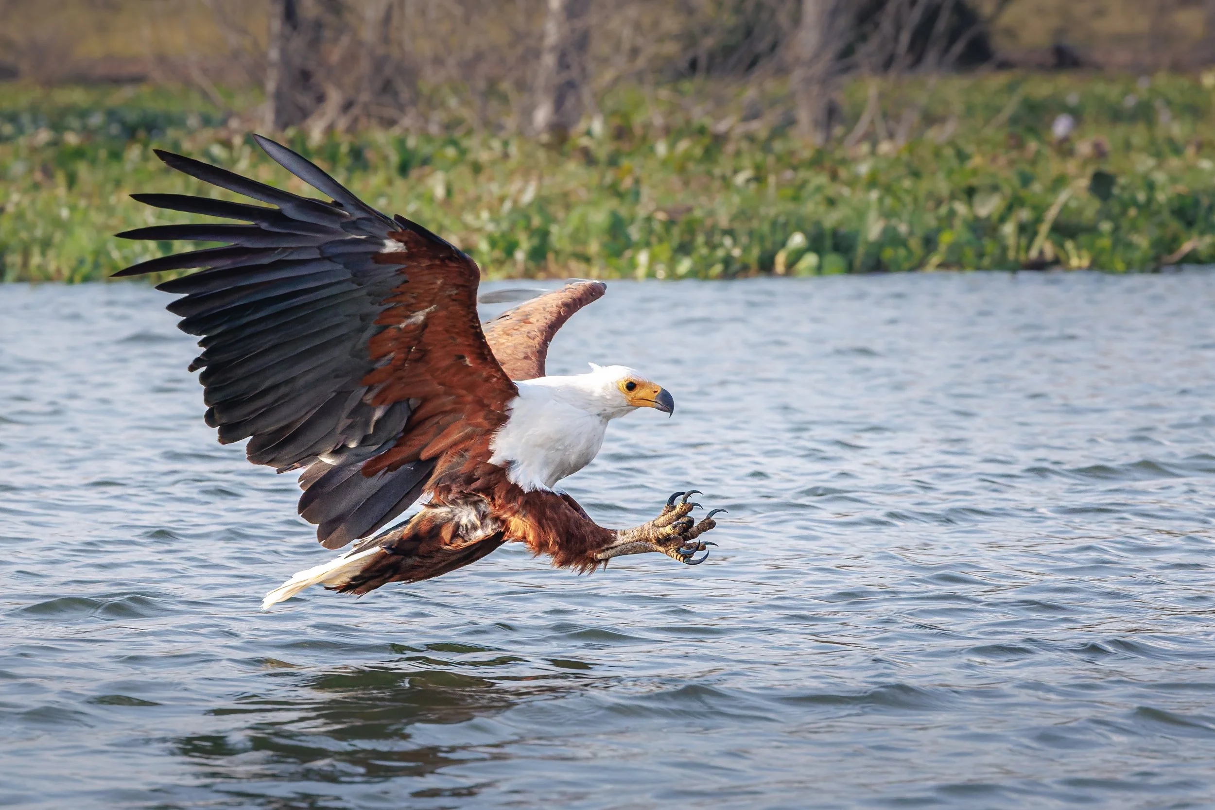 _ARO1055-DxO_DeepPRIME 3.jpg