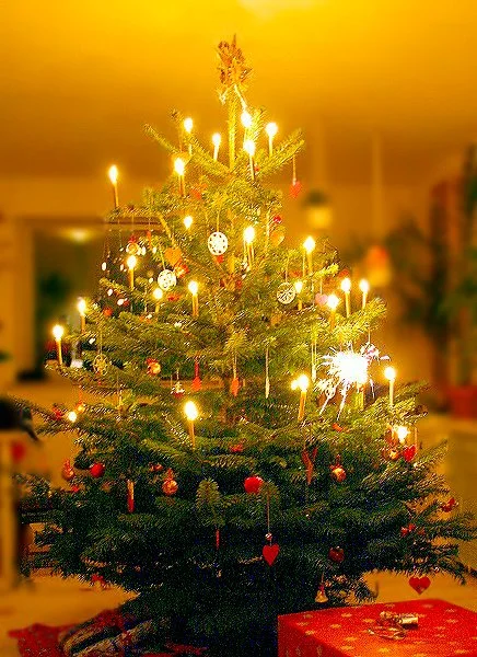 Weihnachtsfeier
