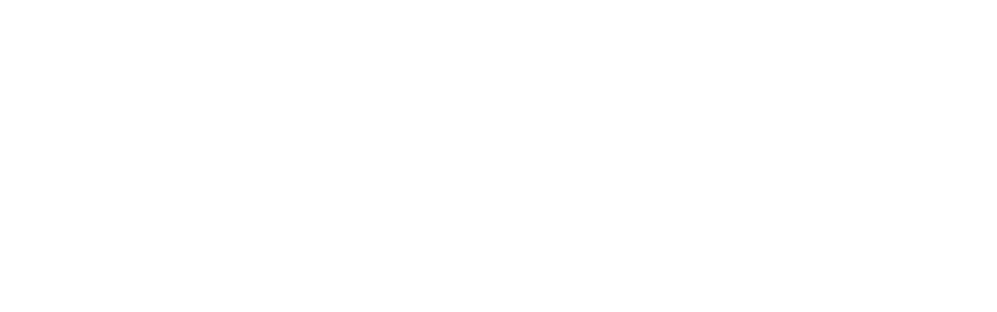 Logo Nederlands Theater Festival 2024