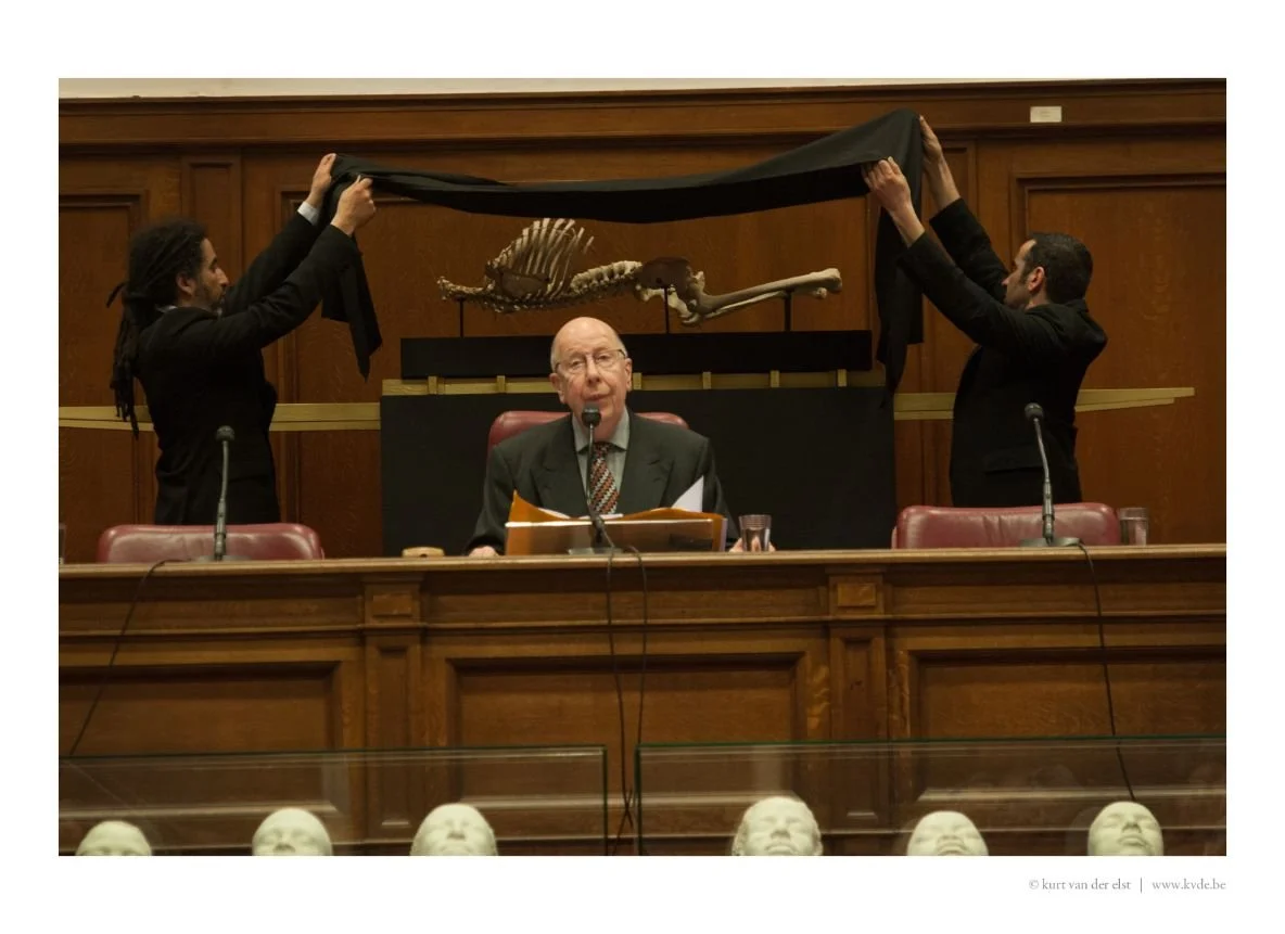 WHC | GENT 2013 © kvde.be