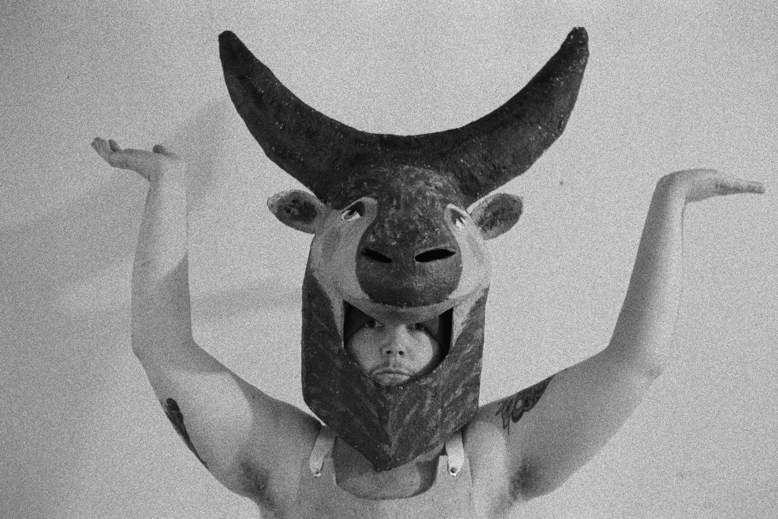 minotaur 6.jpg