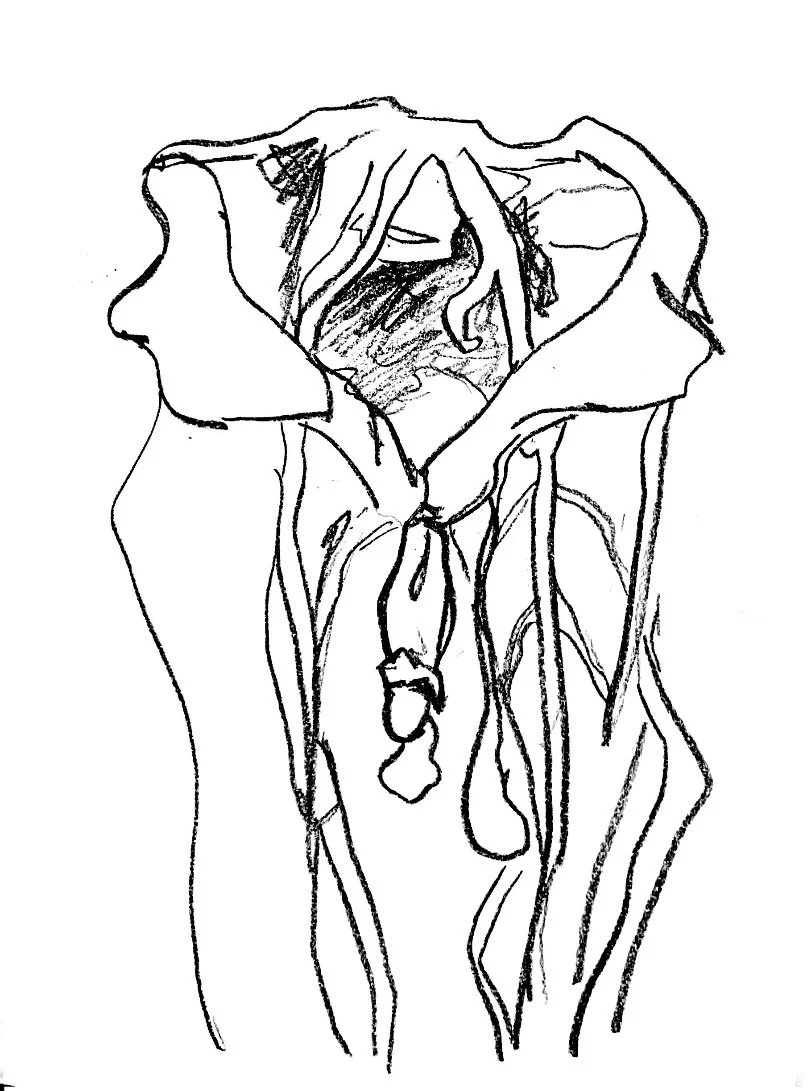 muter drawing3.jpg