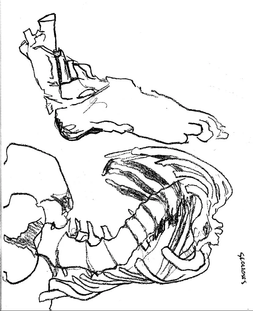 muter drawing.jpg