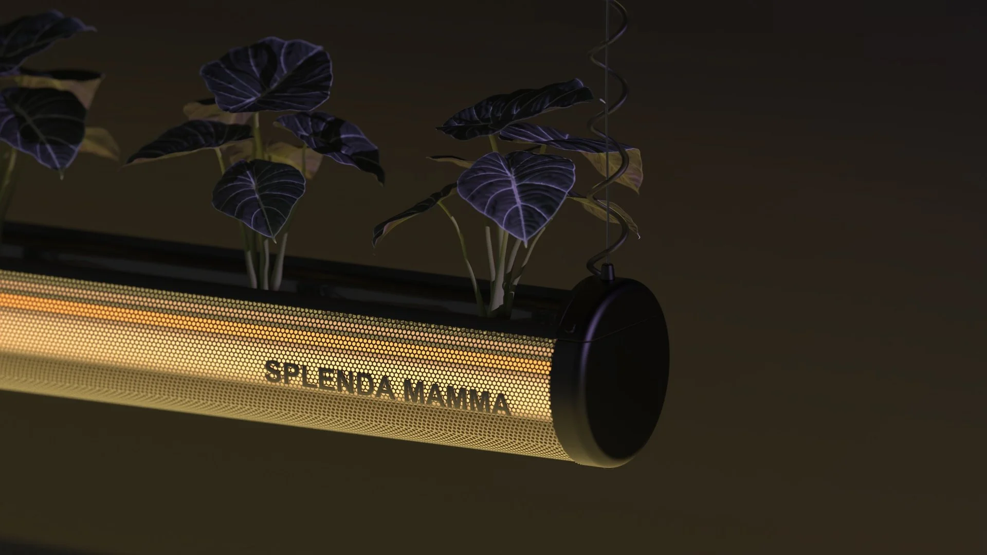 plant 2.134.jpg