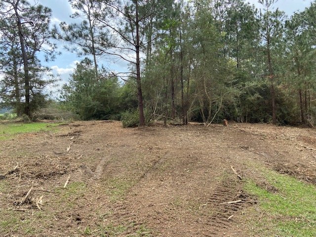 land clearing project after forestry mulching