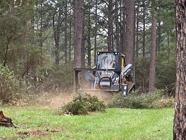 Land clearing service equipment clearing land