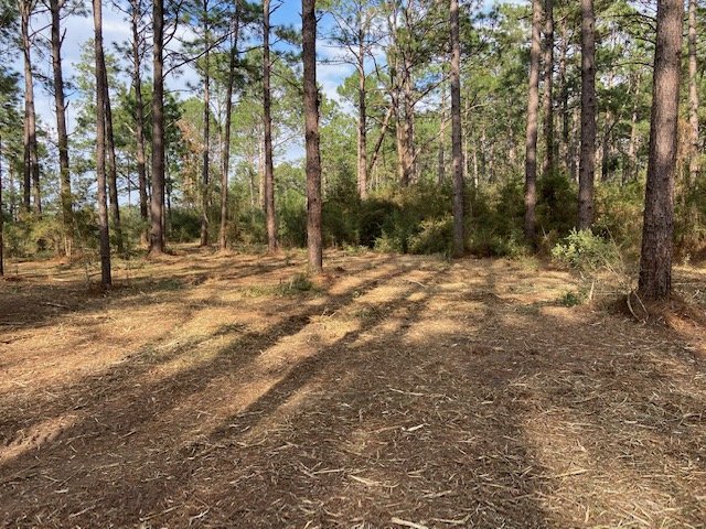 Land clearing company project after services