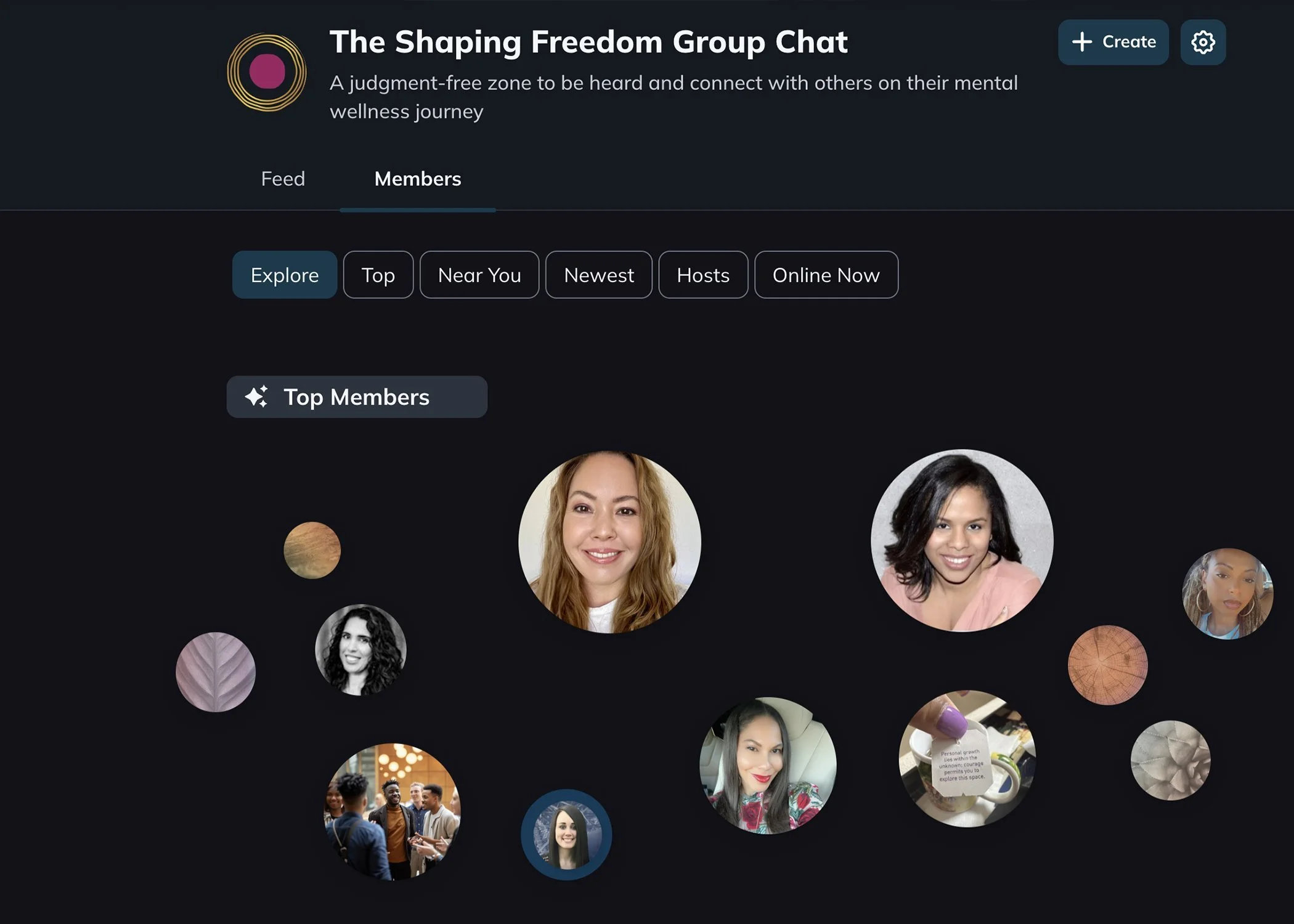 Shaping Freedom Community Group Chat.jpg