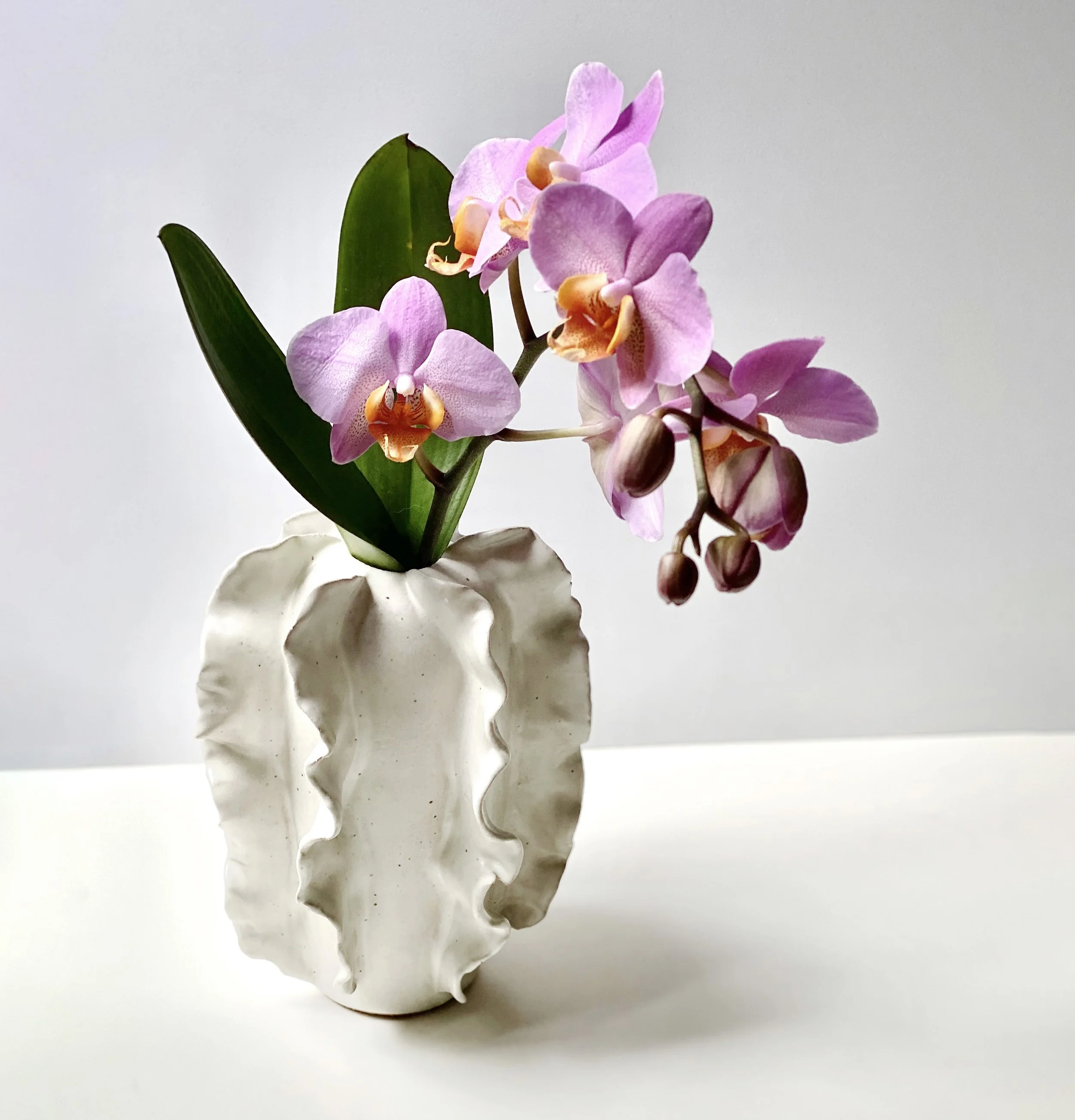 Eusebio_Ceramics_saguaro_white_orchid