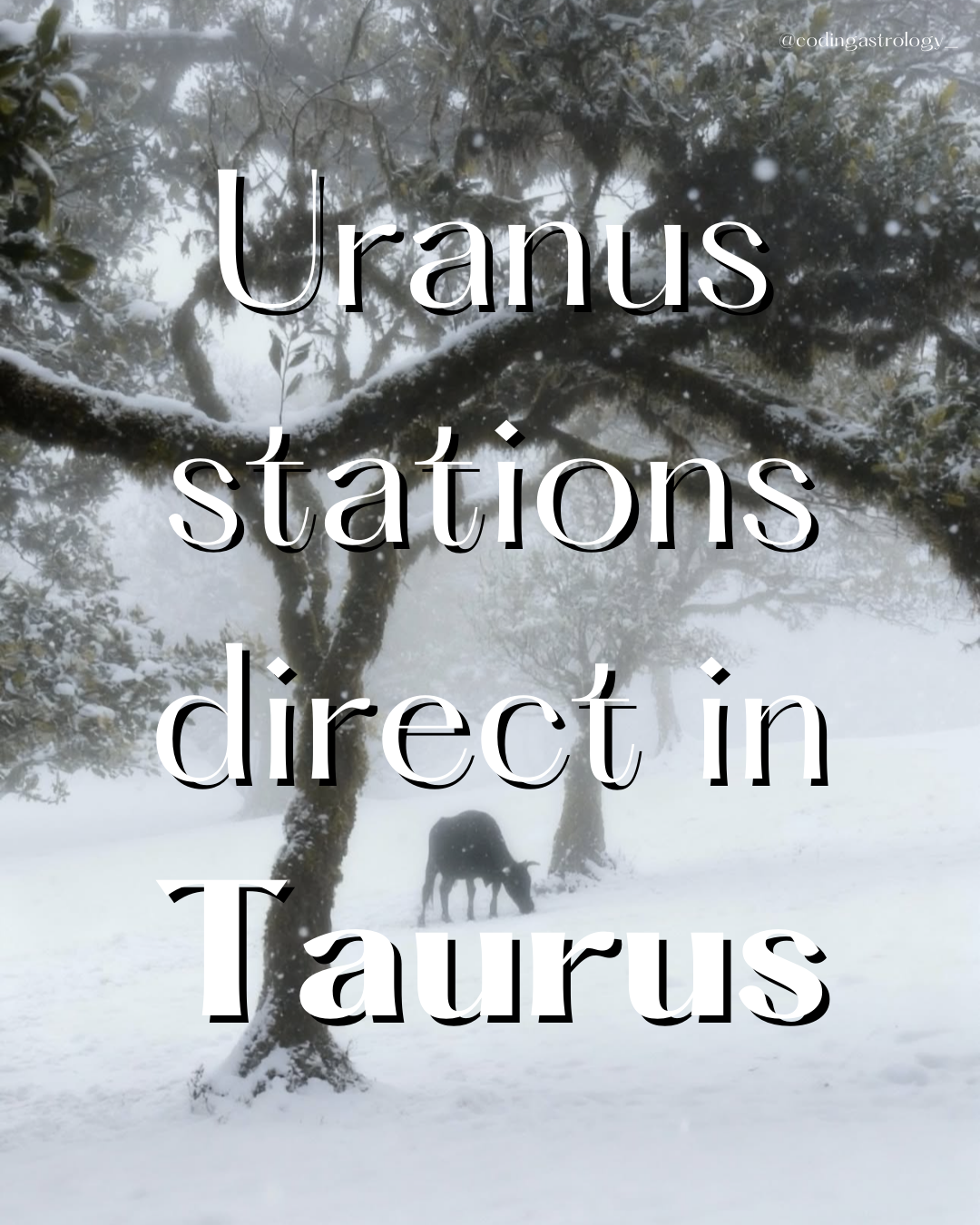 Uranus stations direct in Taurus