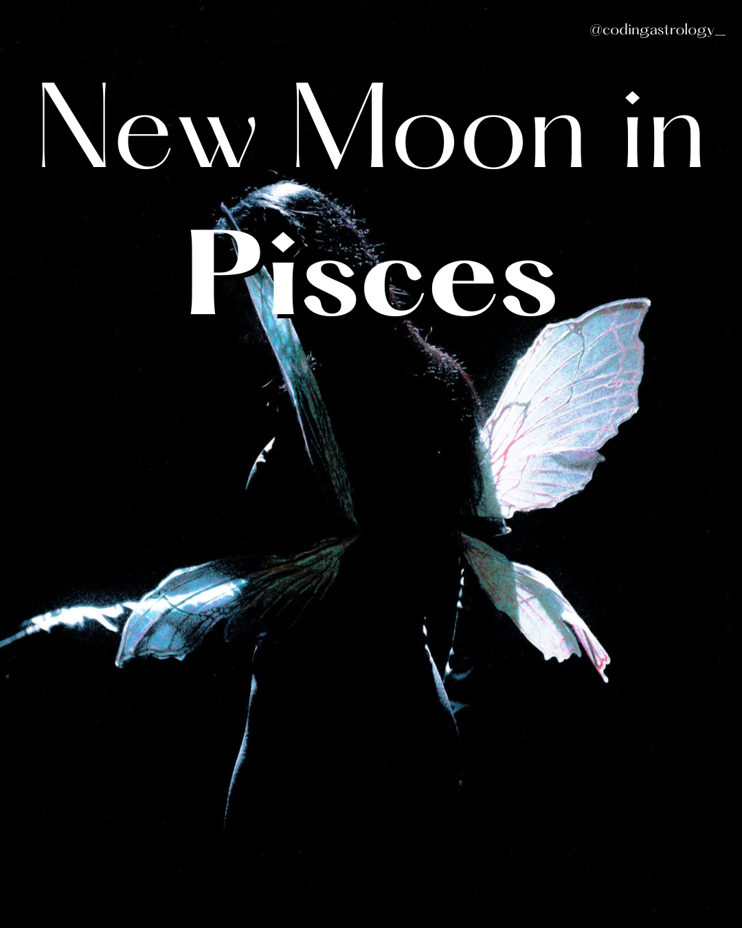 New Moon in Pisces