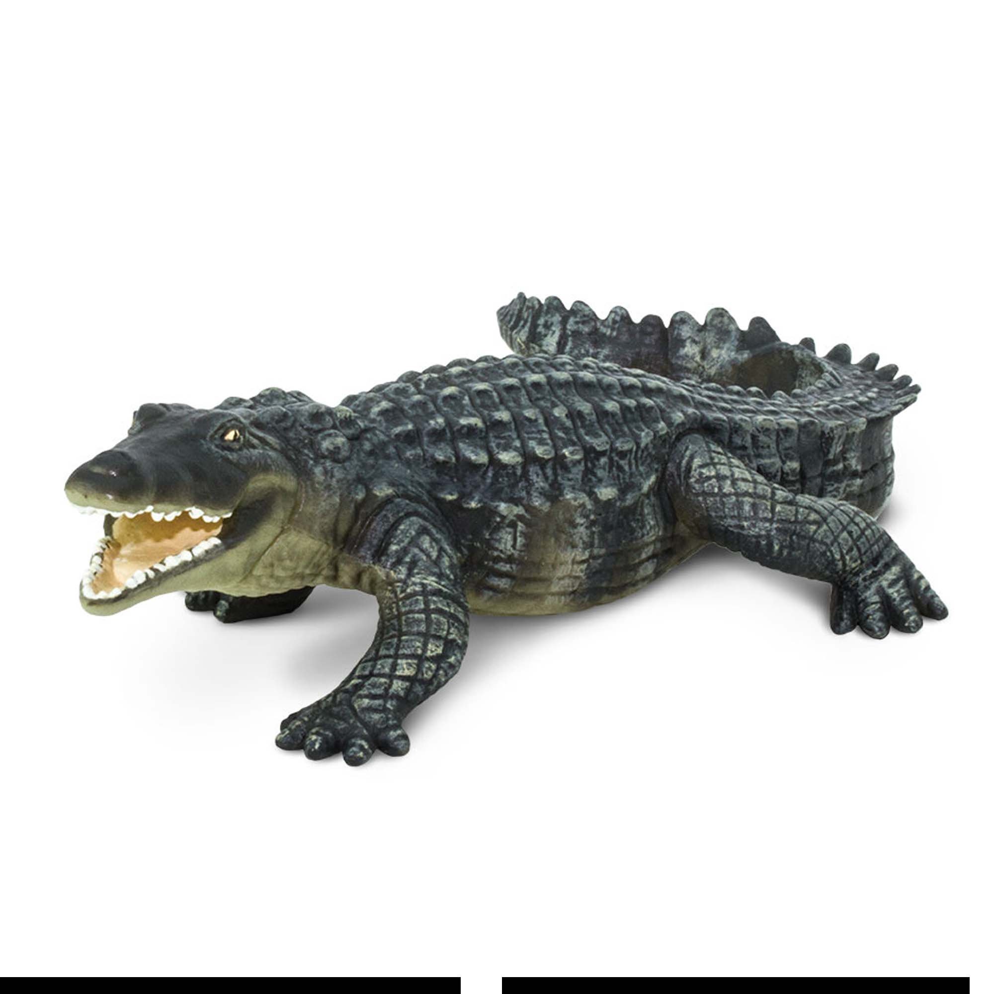 Crocodile 2 2000px.jpg
