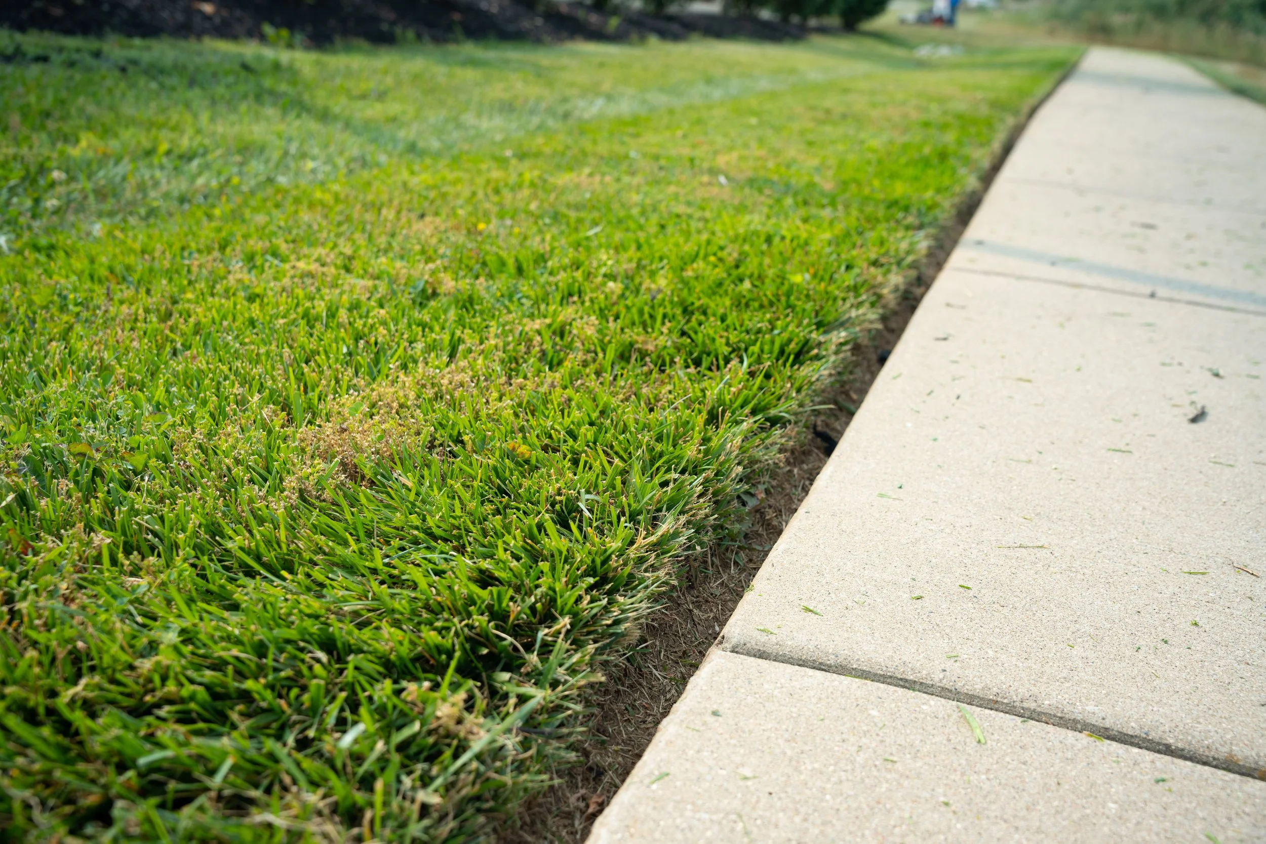 Neatly trimmed edges of a lawn next to a sidewalk after Akers Lawn Care and Landscaping mowed and trimmed the edges