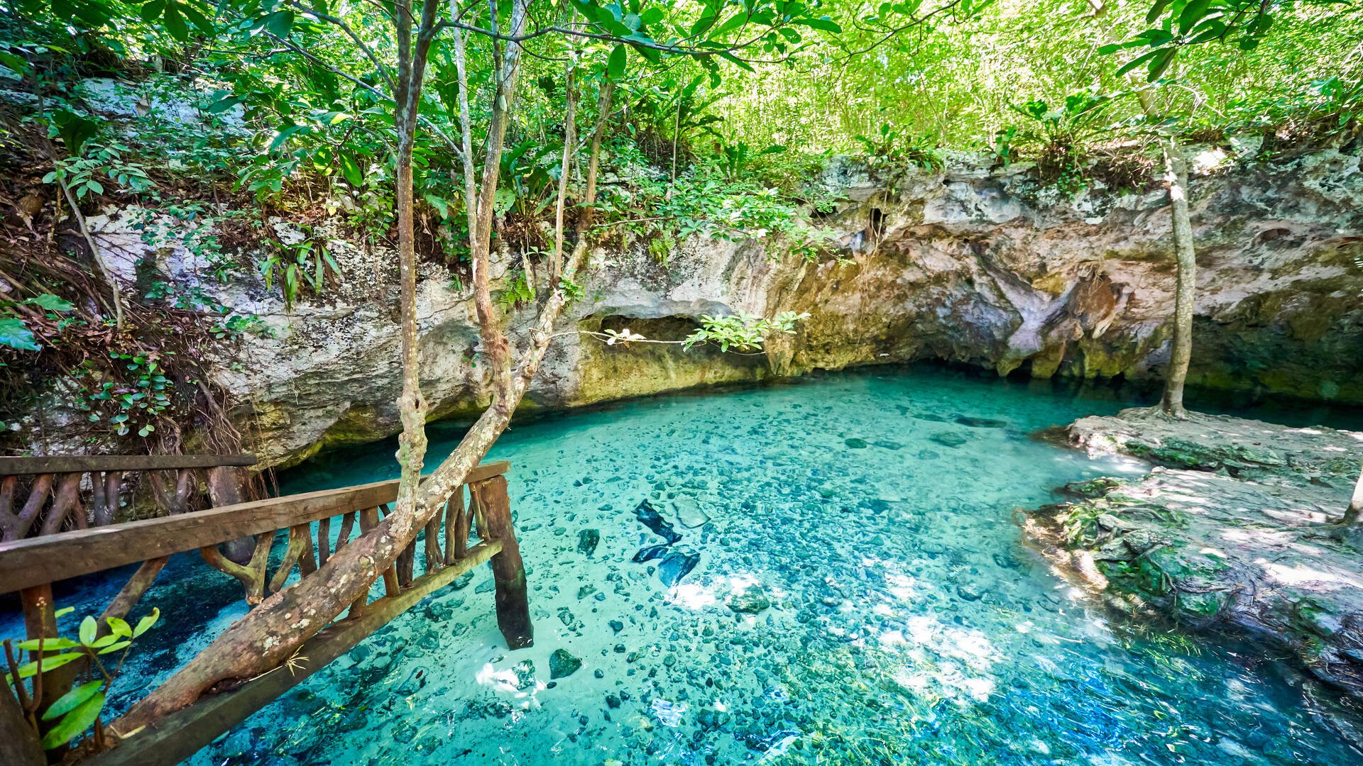 Gran-Cenote-Quintana-Roo.jpg