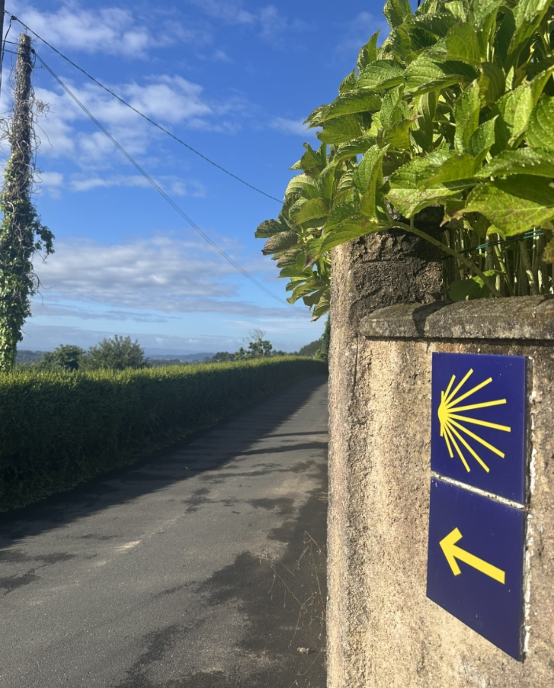 Screenshot 2026-03-04 at 9.34.10 PM.png