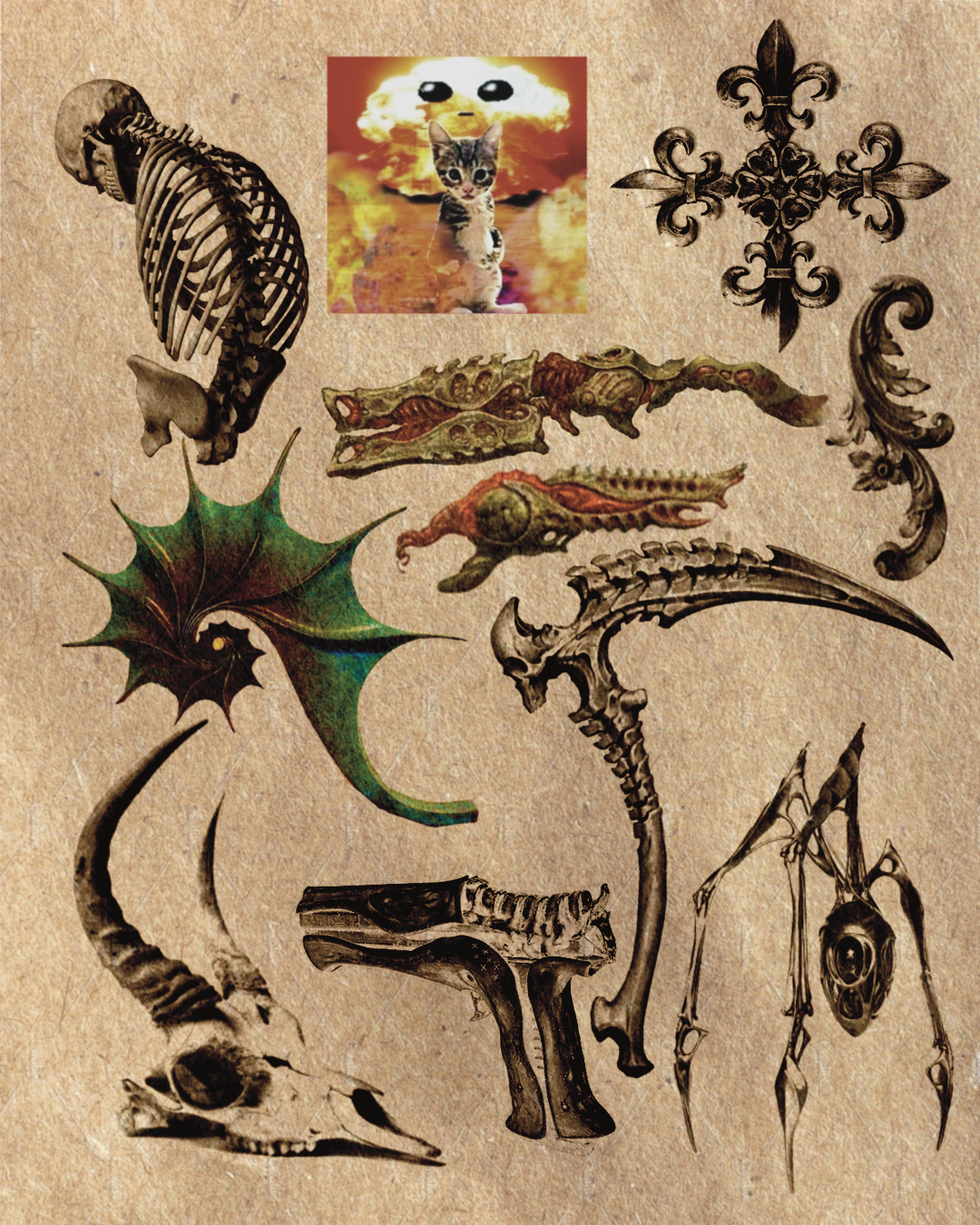 Untitled_Artwork 4.png