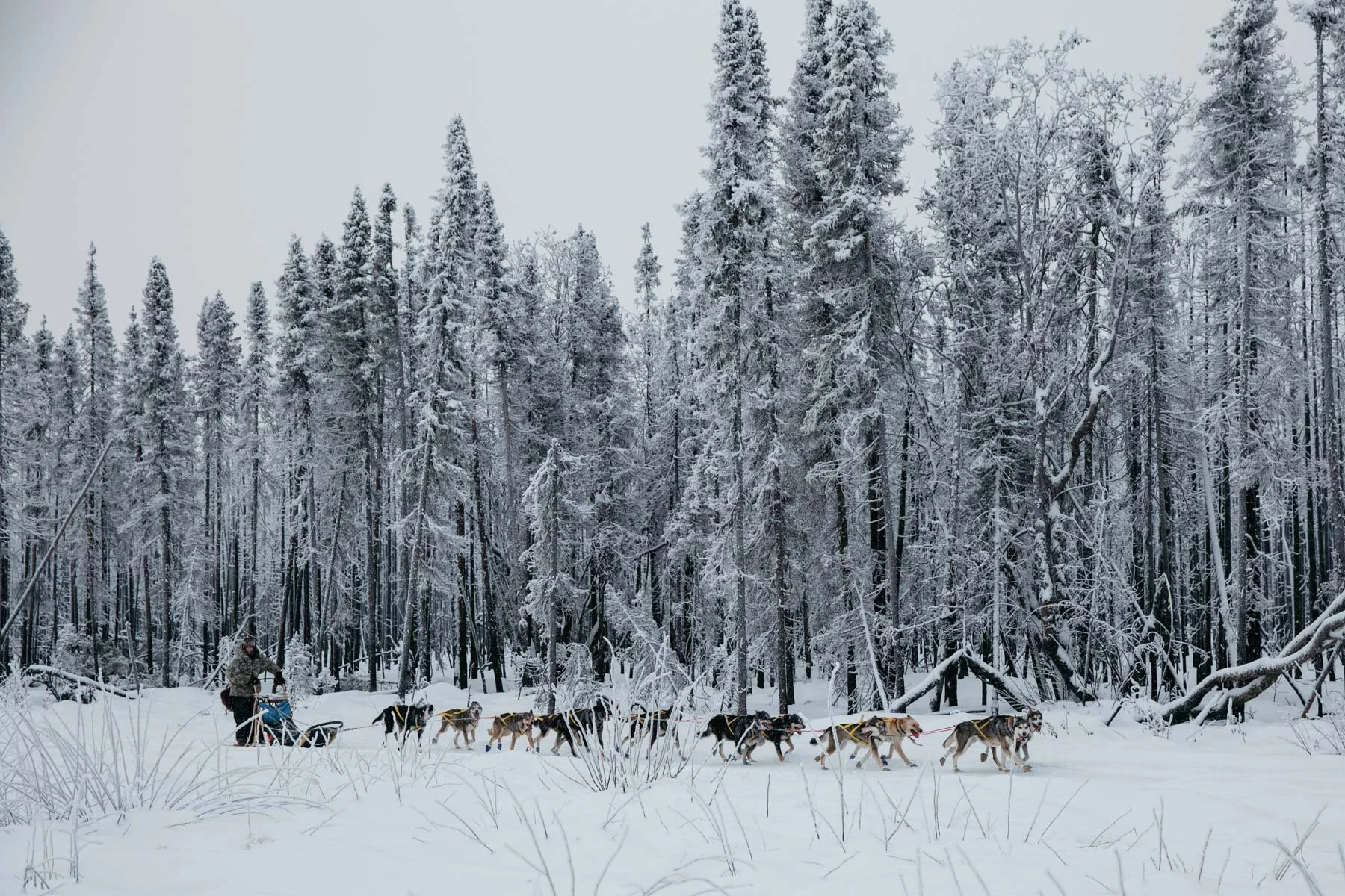 Budget Shifts in 2026: Build Something That Matters