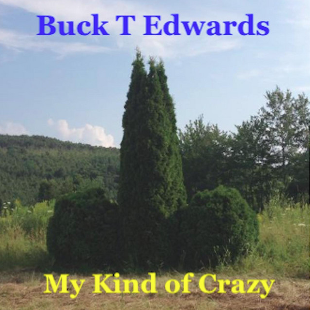 My Kind of Crazy (Single) - Buck T. Edwards