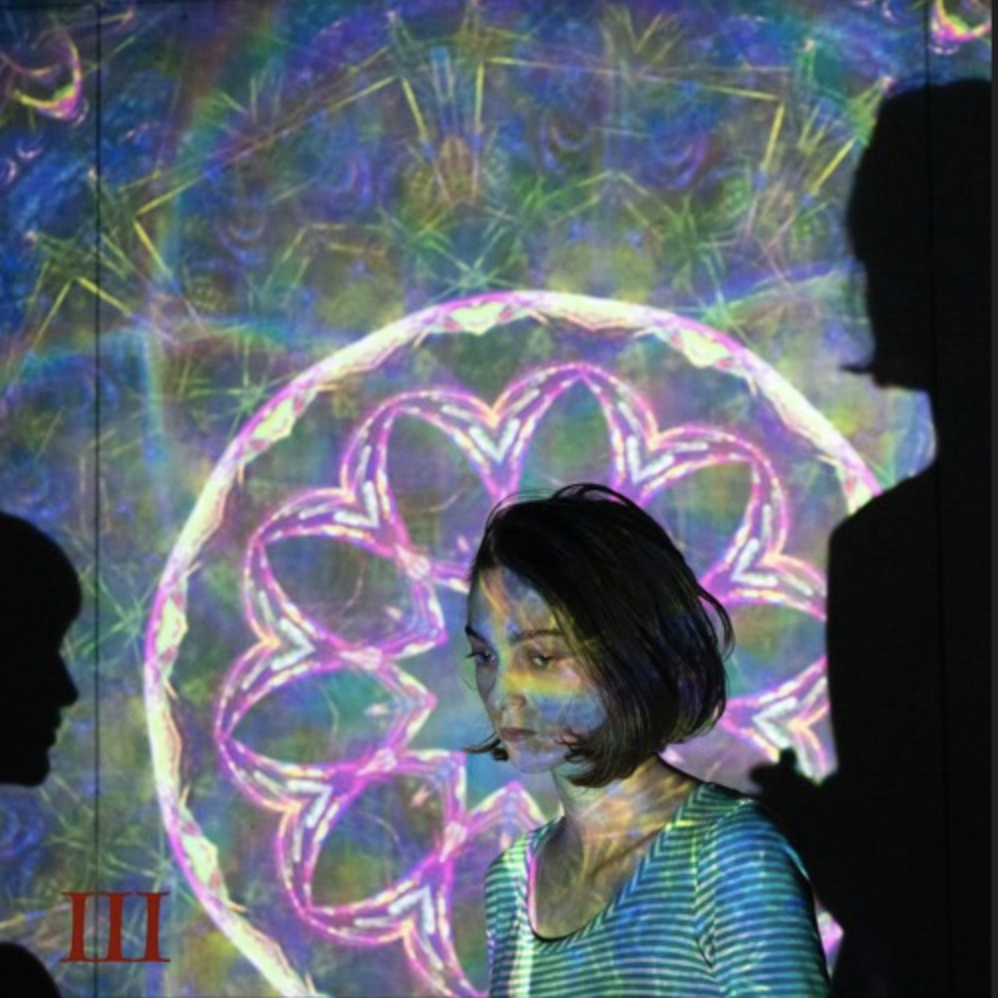 The Perfect Trip S/T