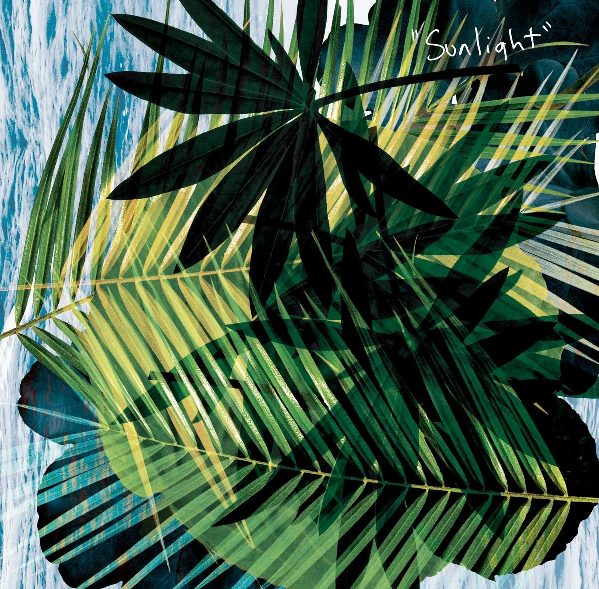 Sunlight - Alejandra O'Leary