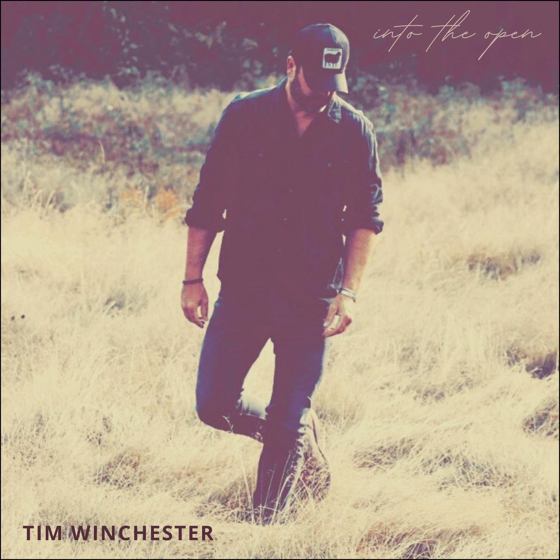 Into The Open - Tim Winchester