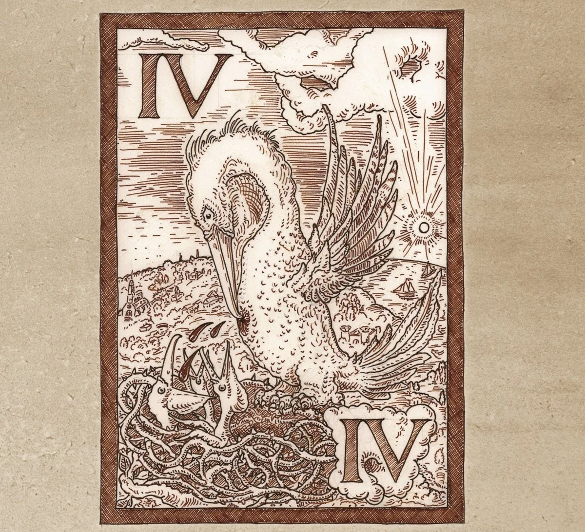 Birds - Duane Edwards