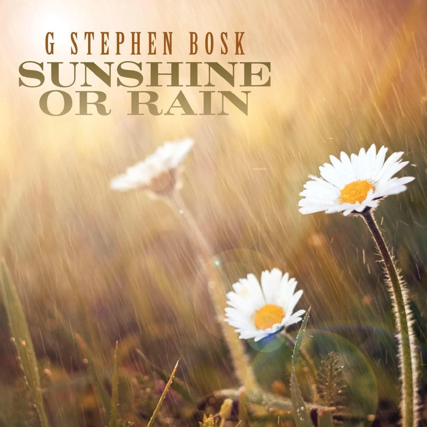 Sunshine Or Rain - G. Stephen Bosk