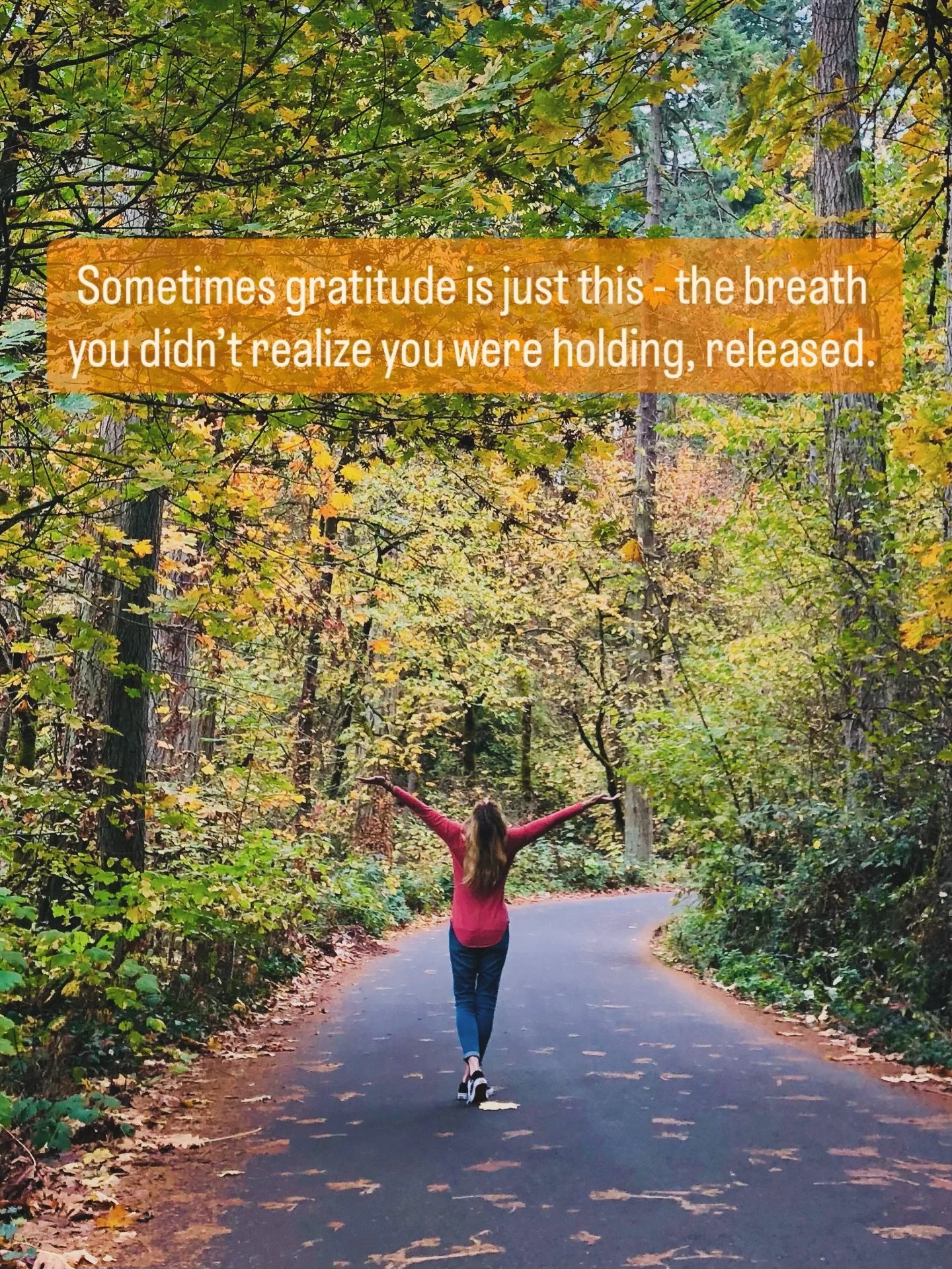 A Day of Thanks Giving🍂🍁 

Thanksgiving can feel complicated, especially for those who feel the world deeply. It&rsquo;s impossible to ignore the grief underneath the holiday, the echo of stories that were never given the space or justice they dese