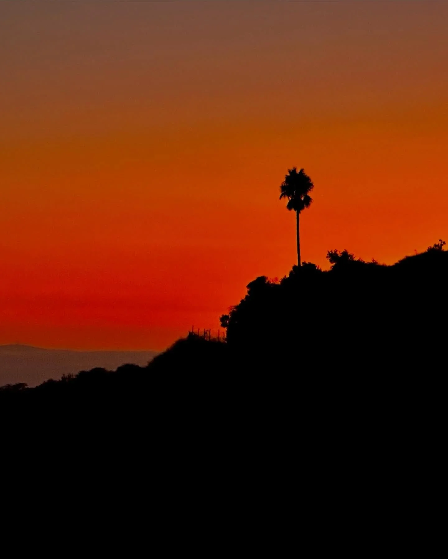 Day 16: Anger Without Combustion
 In Buddhist teaching, we&rsquo;re reminded of the &ldquo;second arrow.&rdquo; The first arrow is the pain itself. The second arrow is the story we fire on top of it.

Anger is not the enemy. It&rsquo;s energy. It&rsq