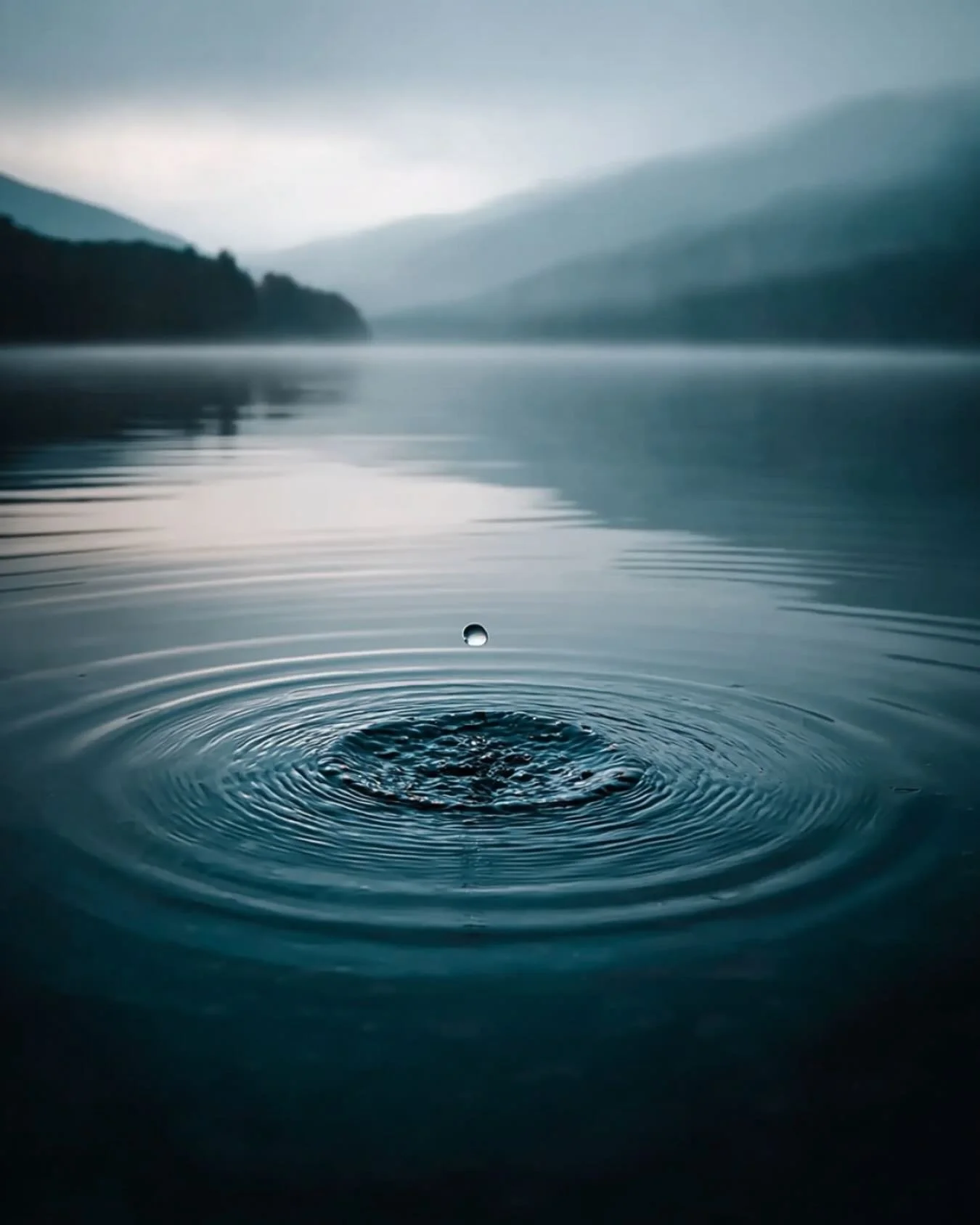 Day 18: Practicing RAIN
 When emotions feel strong, it helps to have a compassionate structure.
Buddhist teacher tarabrach teaches a mindfulness practice called RAIN &mdash; a way of meeting difficult feelings with awareness and care rather than supp