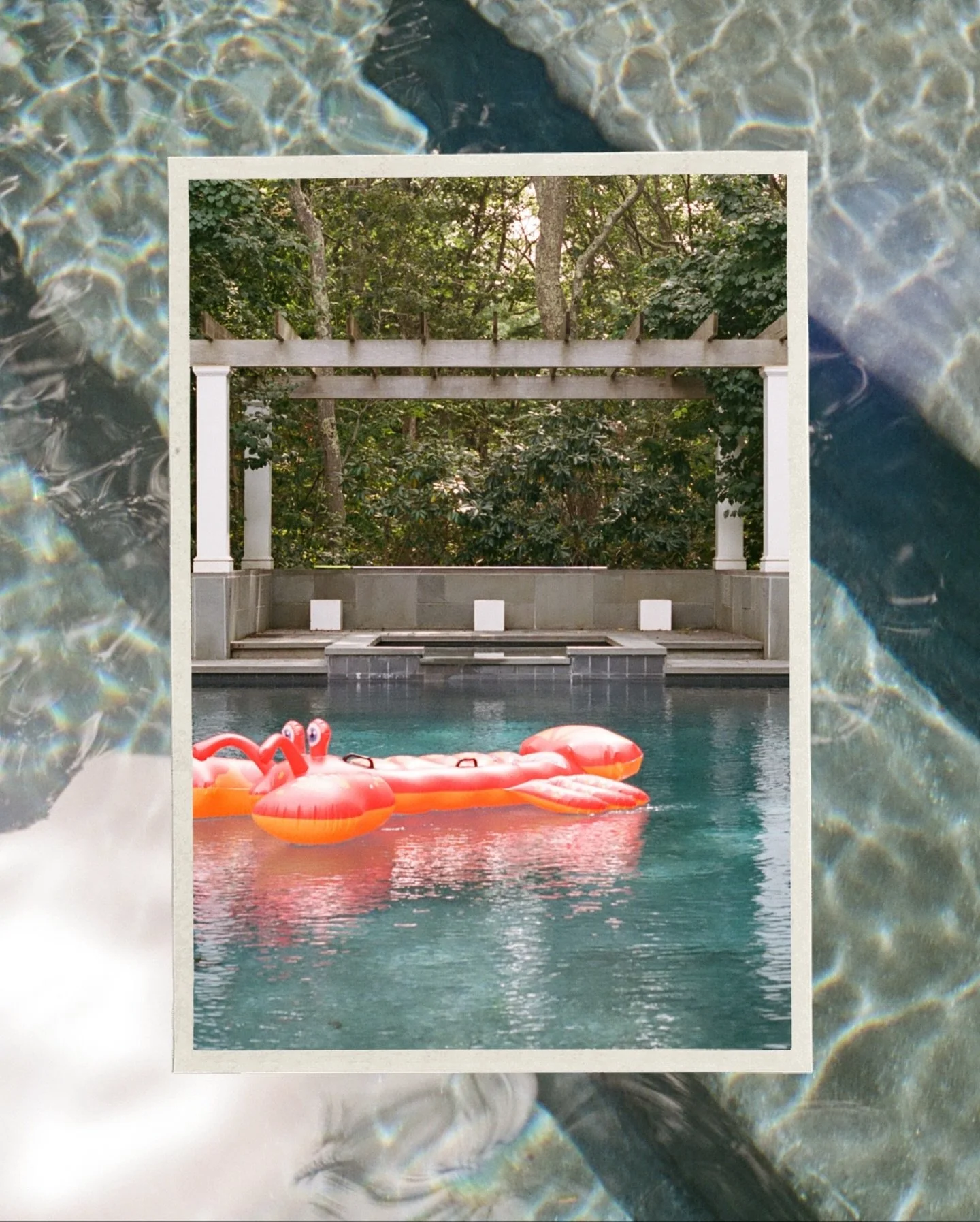 35mm summer memories ✌️ Long Island, 2025.

#familyphotos #familyphotographer #documentaryphotographer #documentaryfamilyphotography #easthampton