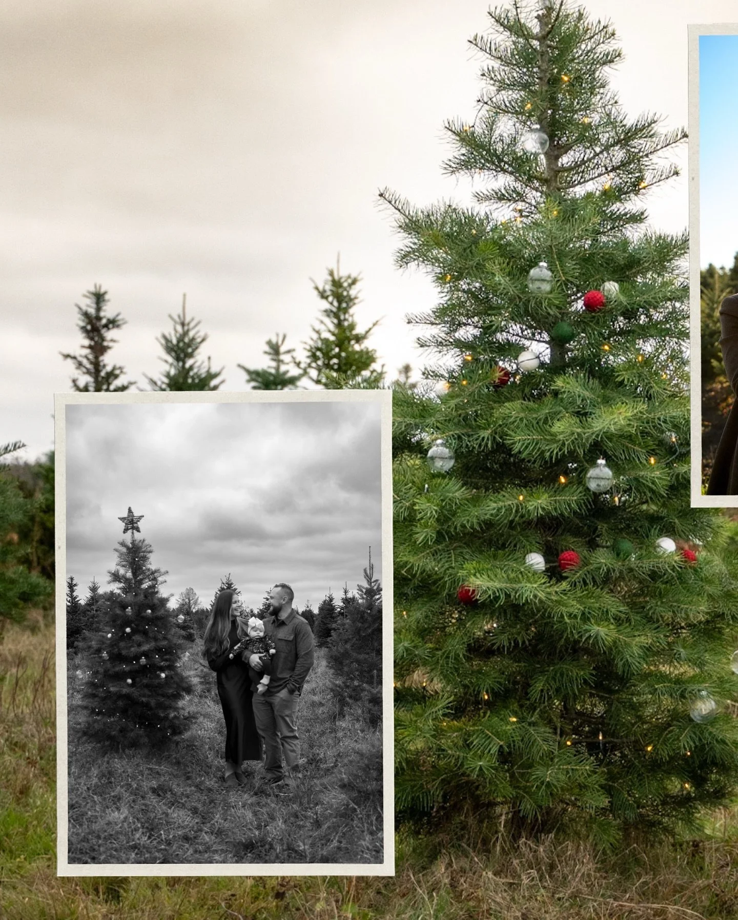 Tree farm minis are back! 🎄Sunday, November 16th.

These photos from last year are some of my favorites. Proof that even a short mini session can capture so much love, personality, and connection.

Link in bio to book or send me a DM. 

#eriepaphoto