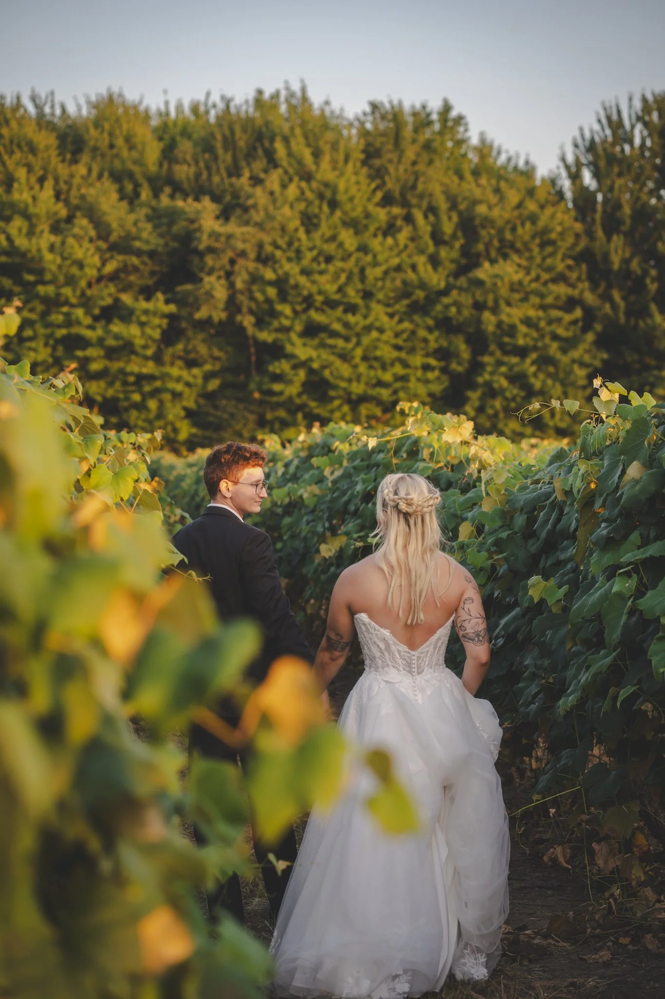 A bride and groom walking through a vineyard at sunset, holding hands.