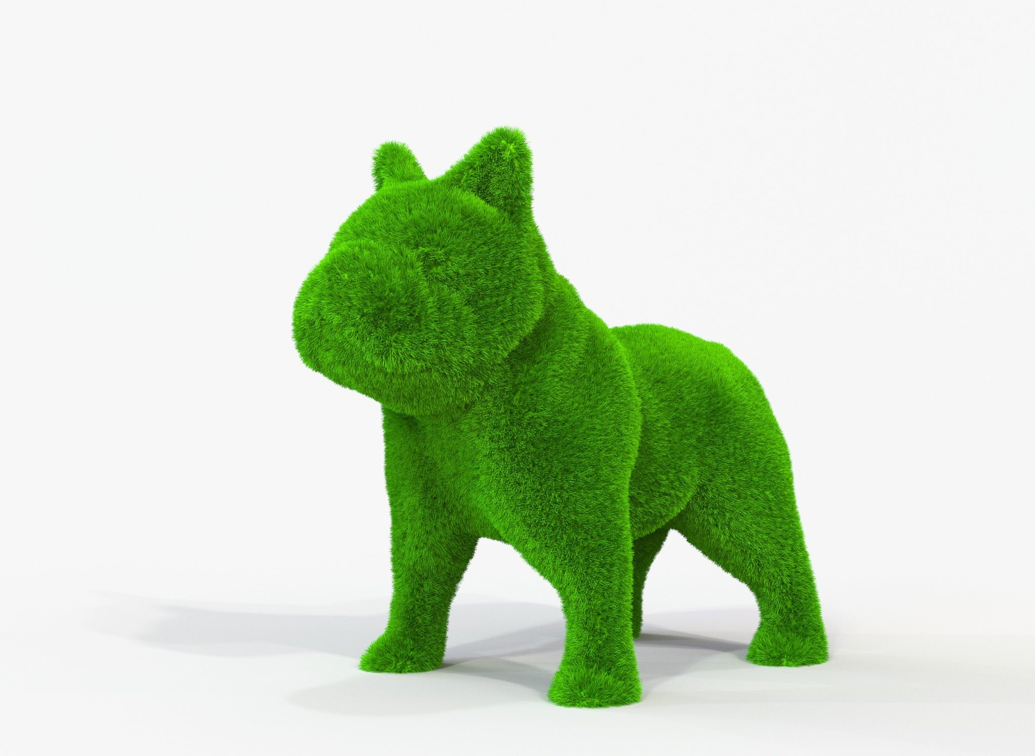 https://i.etsystatic.com/19315008/r/il/5e1f54/5074033215/il_fullxfull.5074033215_kbpp.jpg