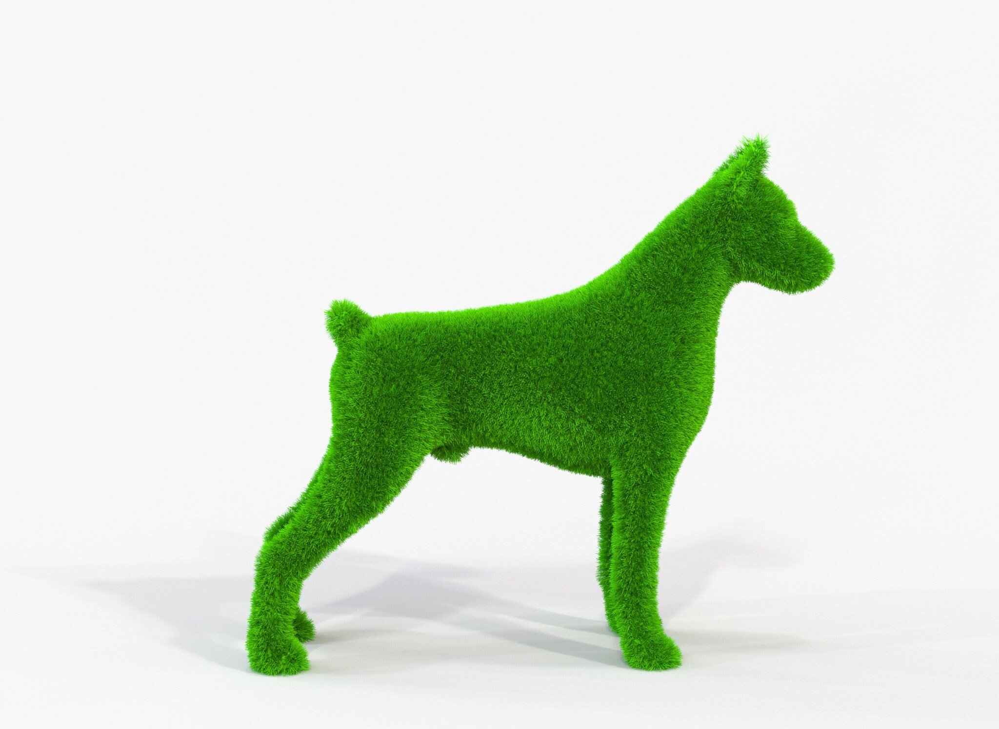 https://i.etsystatic.com/19315008/r/il/13d4de/5025785914/il_fullxfull.5025785914_3ez6.jpg