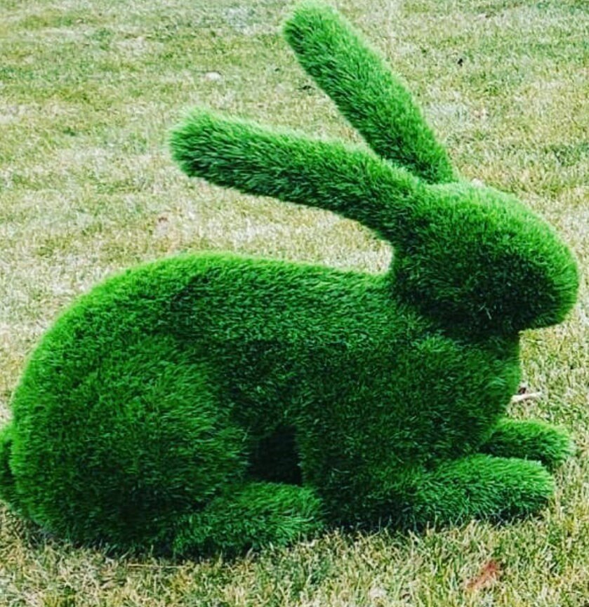 https://i.etsystatic.com/19315008/r/il/9be726/3534908144/il_fullxfull.3534908144_95e0.jpg