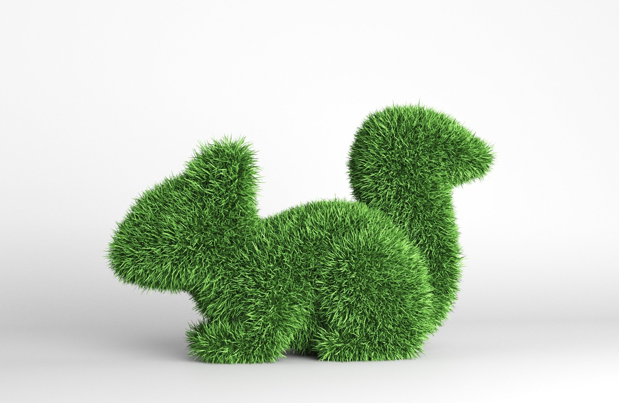https://i.etsystatic.com/19315008/r/il/fdc556/3736365296/il_fullxfull.3736365296_bccu.jpg