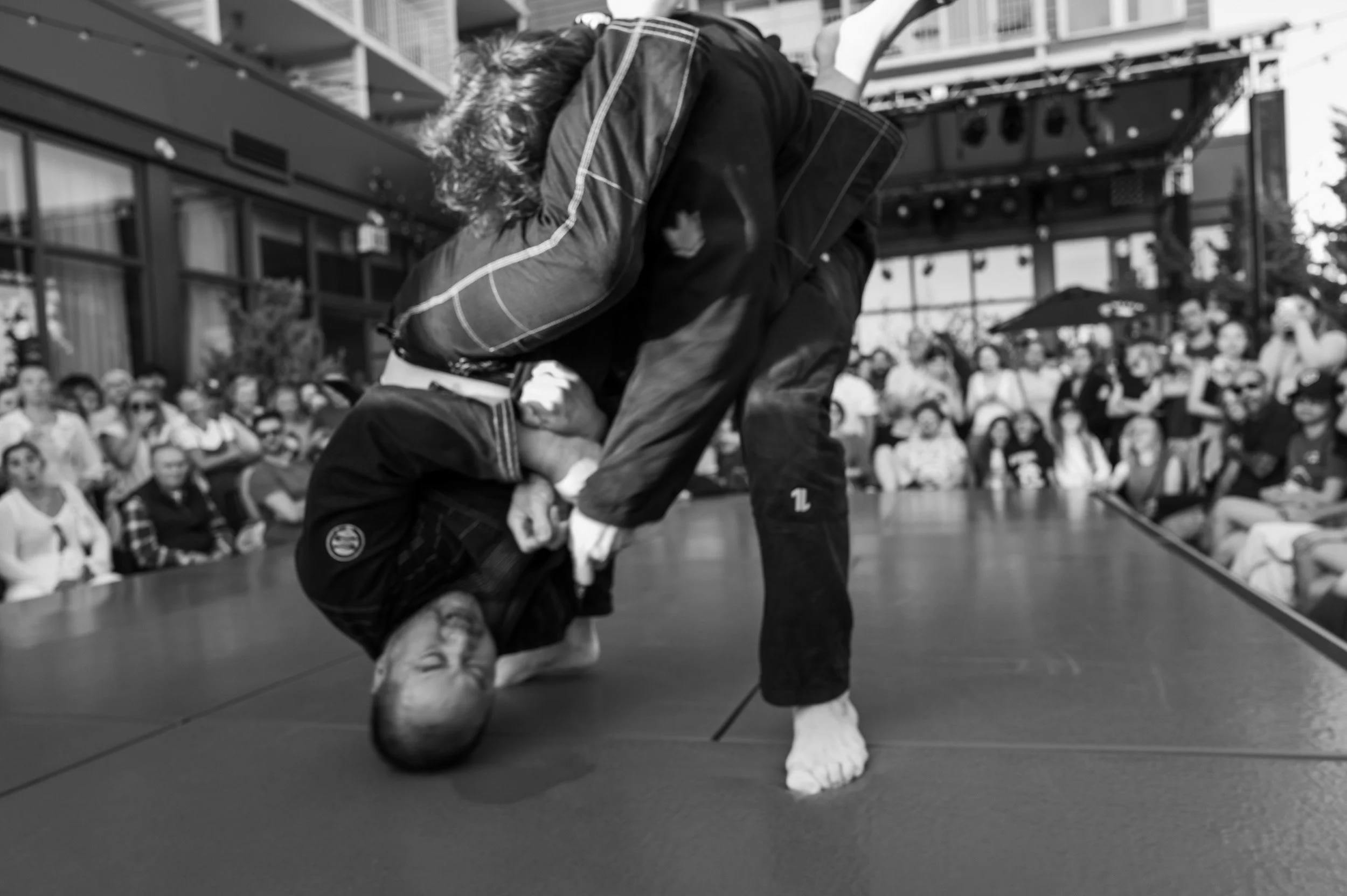 L1005873.jpg