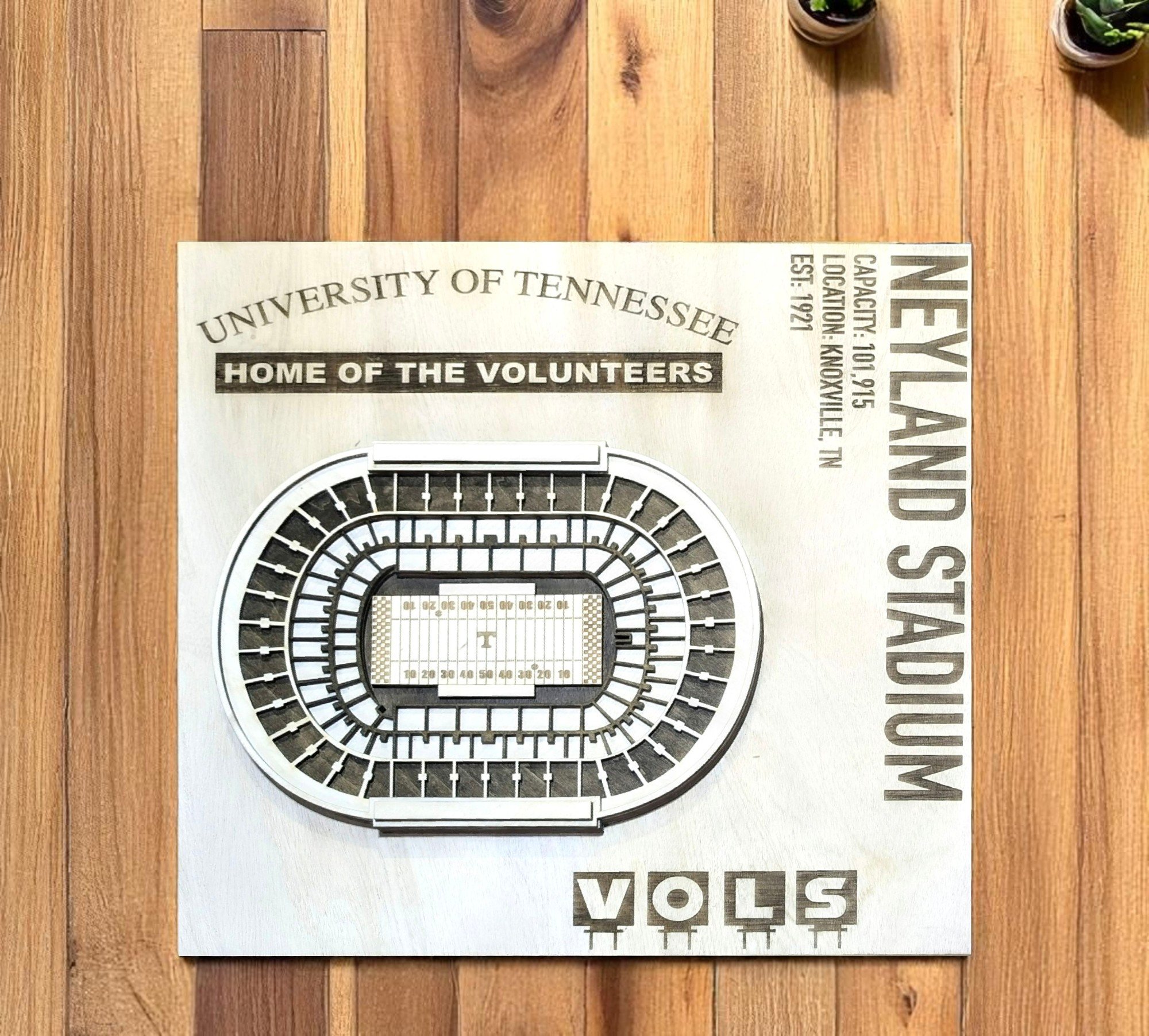 UT stadium-Photoroom.jpg