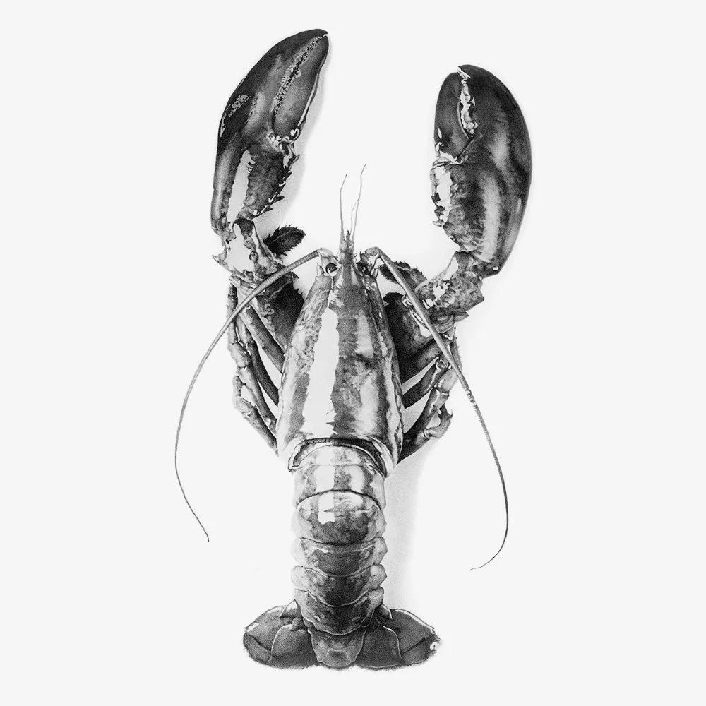 Jeesoo Kim_Lobster Romance_Full Image.jpg
