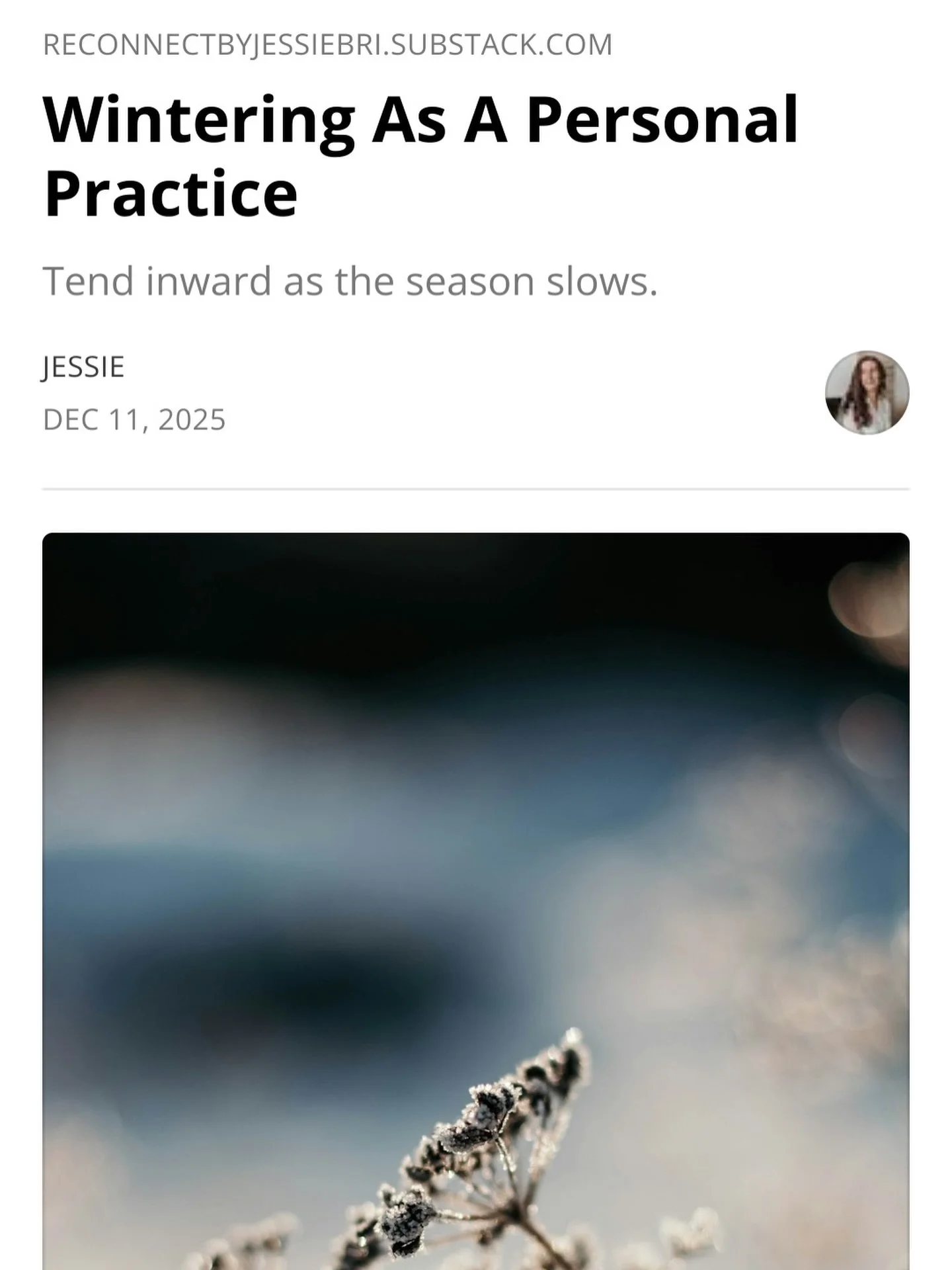 Perhaps you can feel it in your bones at this time of year: the shedding, the slowing down, the turning inward.

There&rsquo;s a primal pull to retreat into our own spaces, to reflect, commemorate, and begin anew.

Wintering is gentle, peaceful, and 
