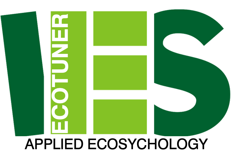 LOGO IES ECOTUNER.color (1).png