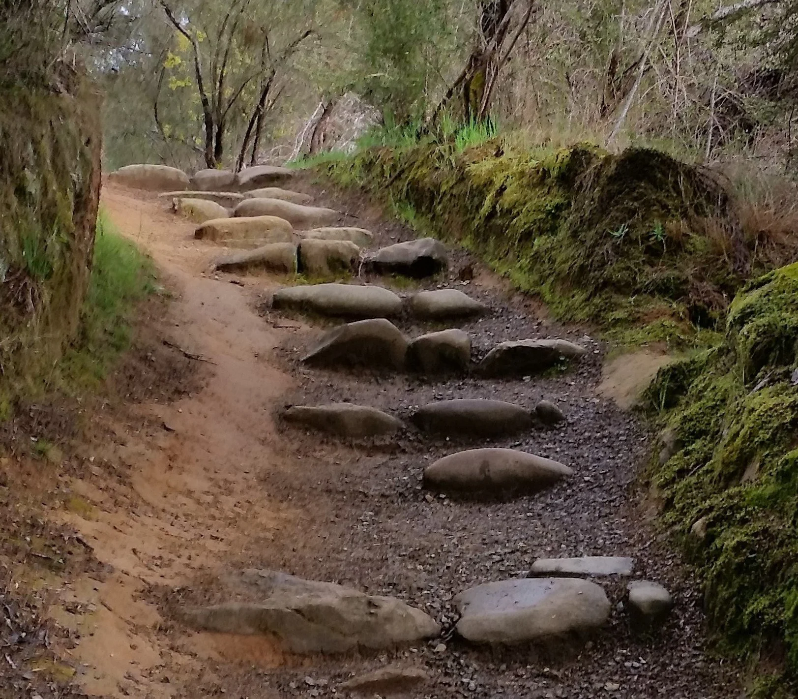Stone steps along a natural bush track surrounded by moss and trees in Beechworth