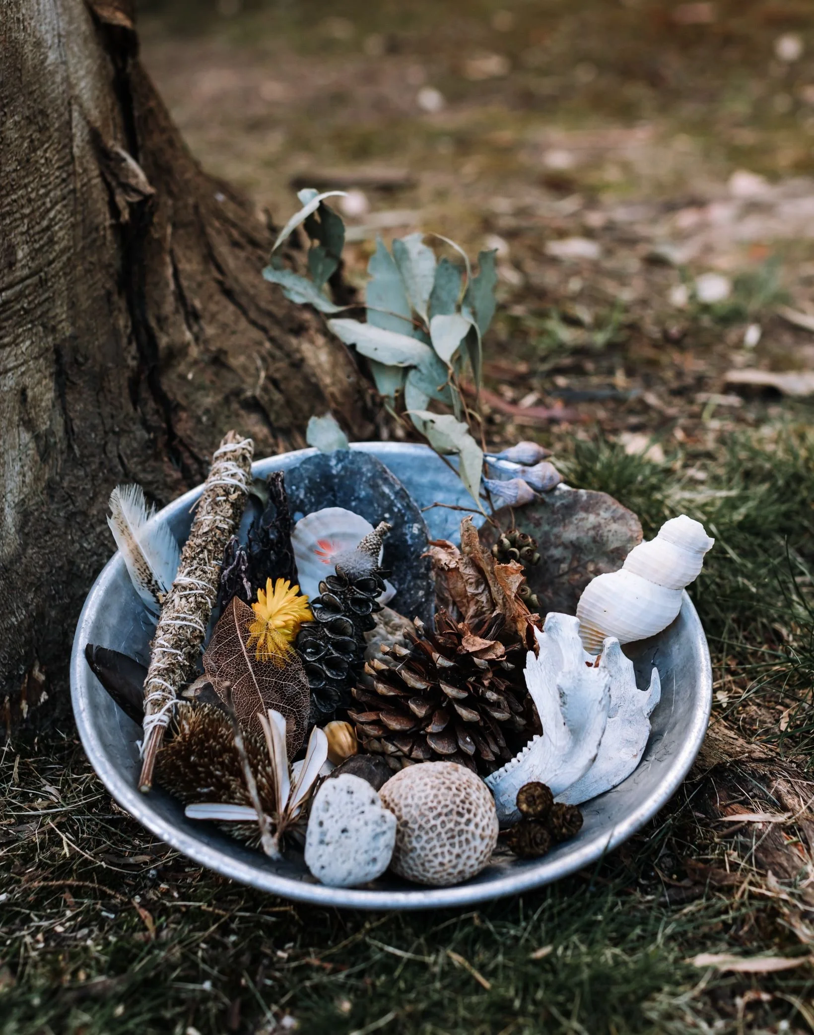 Ritual bowl with natural elements used for ancestral healing and lineage work in holistic therapy.