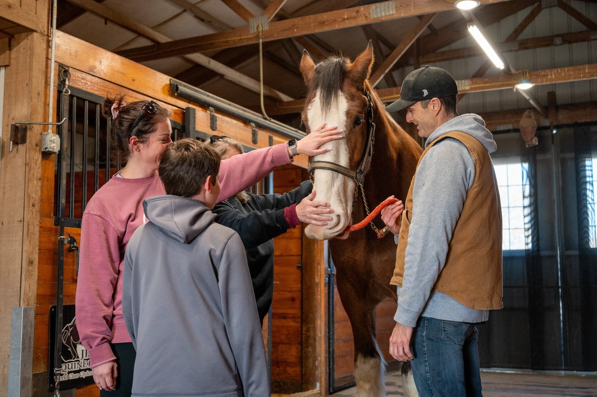 Guests interacting with a Clydesdale during the Ultimate Clydesdale Experience at JFP Equine near St. Louis