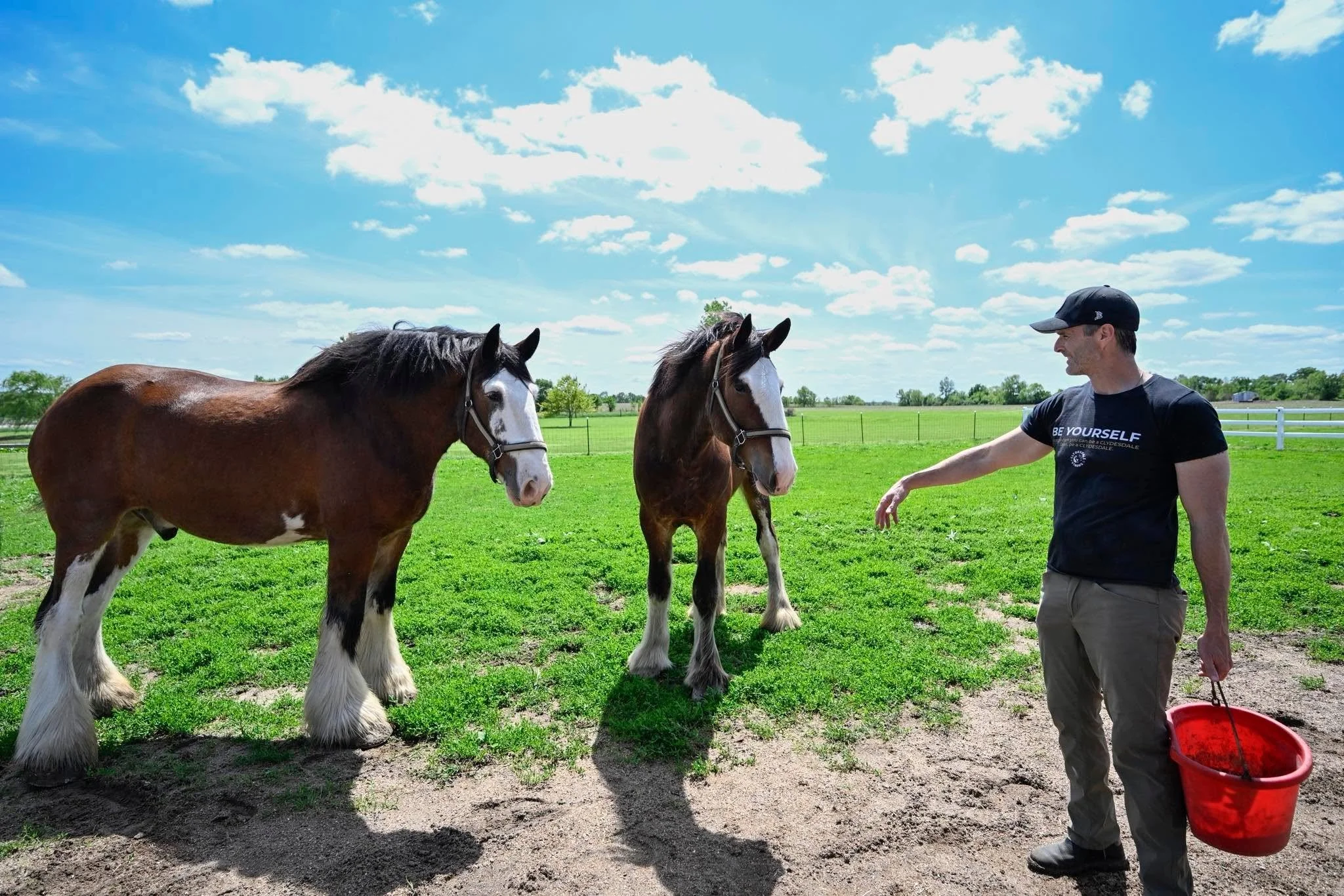 It's the Little Things: 10 Everyday Moments Around the Clydesdale Barn We Love