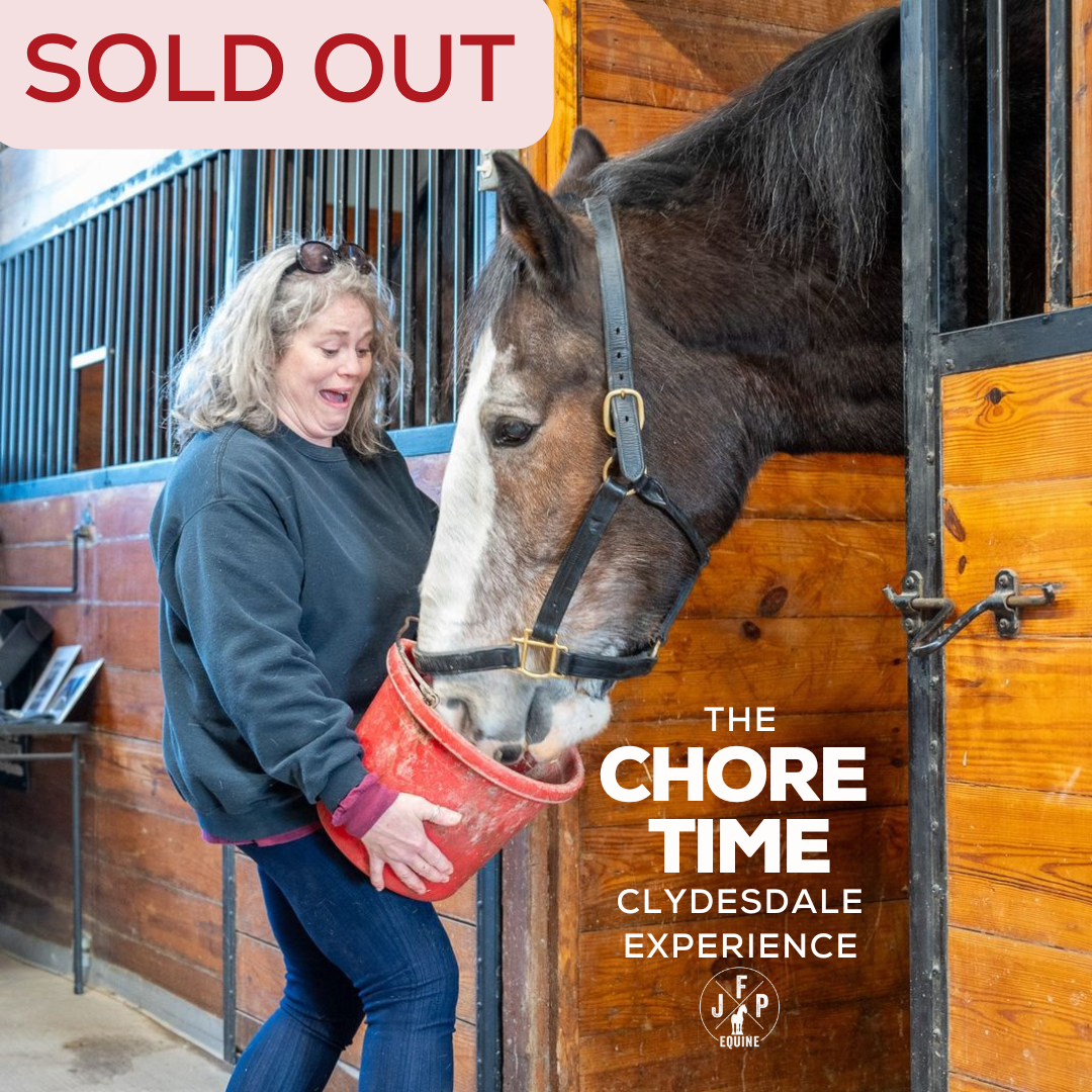 CHORE TIME.SOLD OUT.png