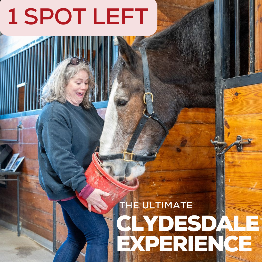 THE ULTIMATE CLYDESDALE EXPERIENCE, 6/17/26, 10:00am-12:00pm