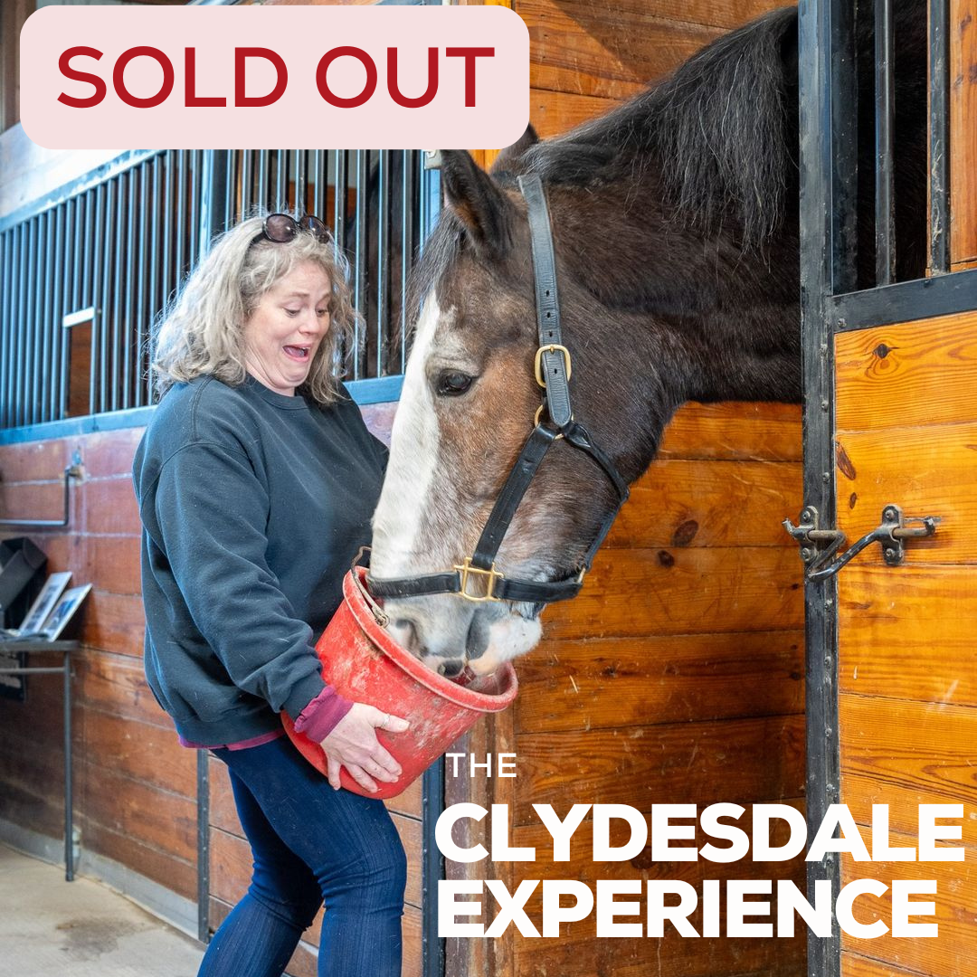 Clydesdale Experience SOLD OUT.png