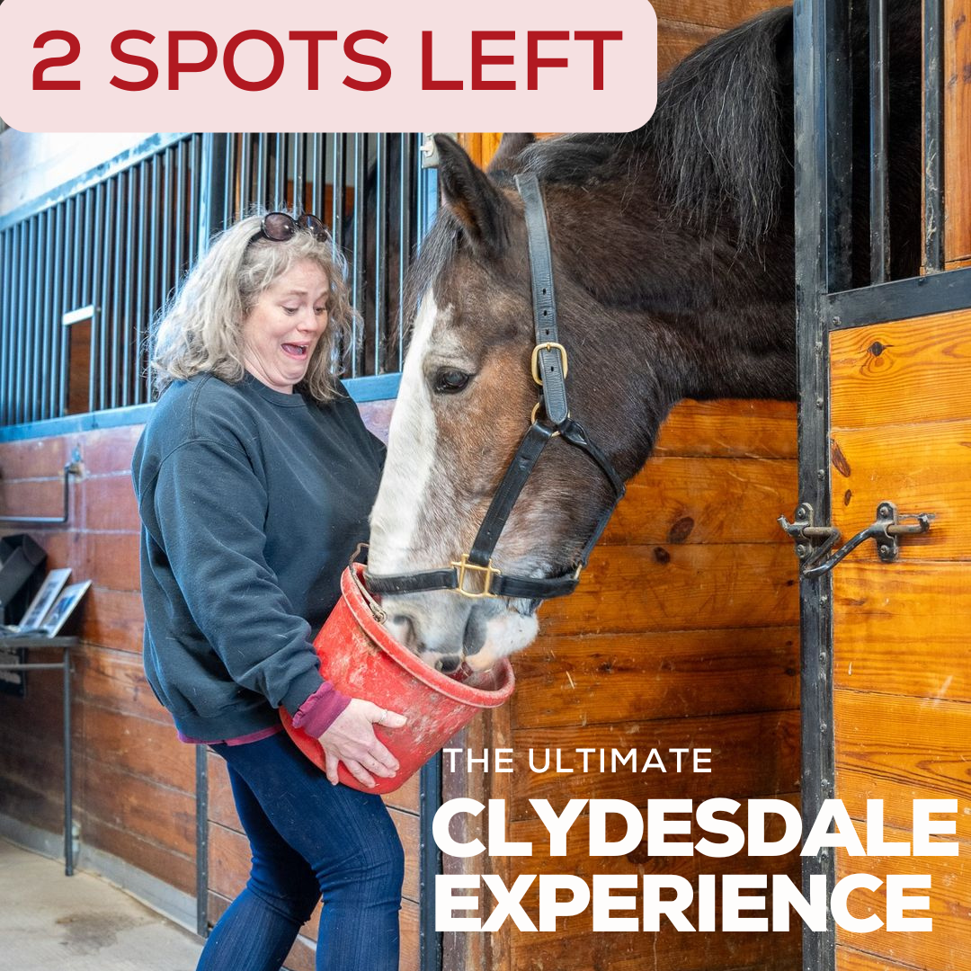 THE ULTIMATE CLYDESDALE EXPERIENCE, 5/15/26, 11:00am-1:00pm